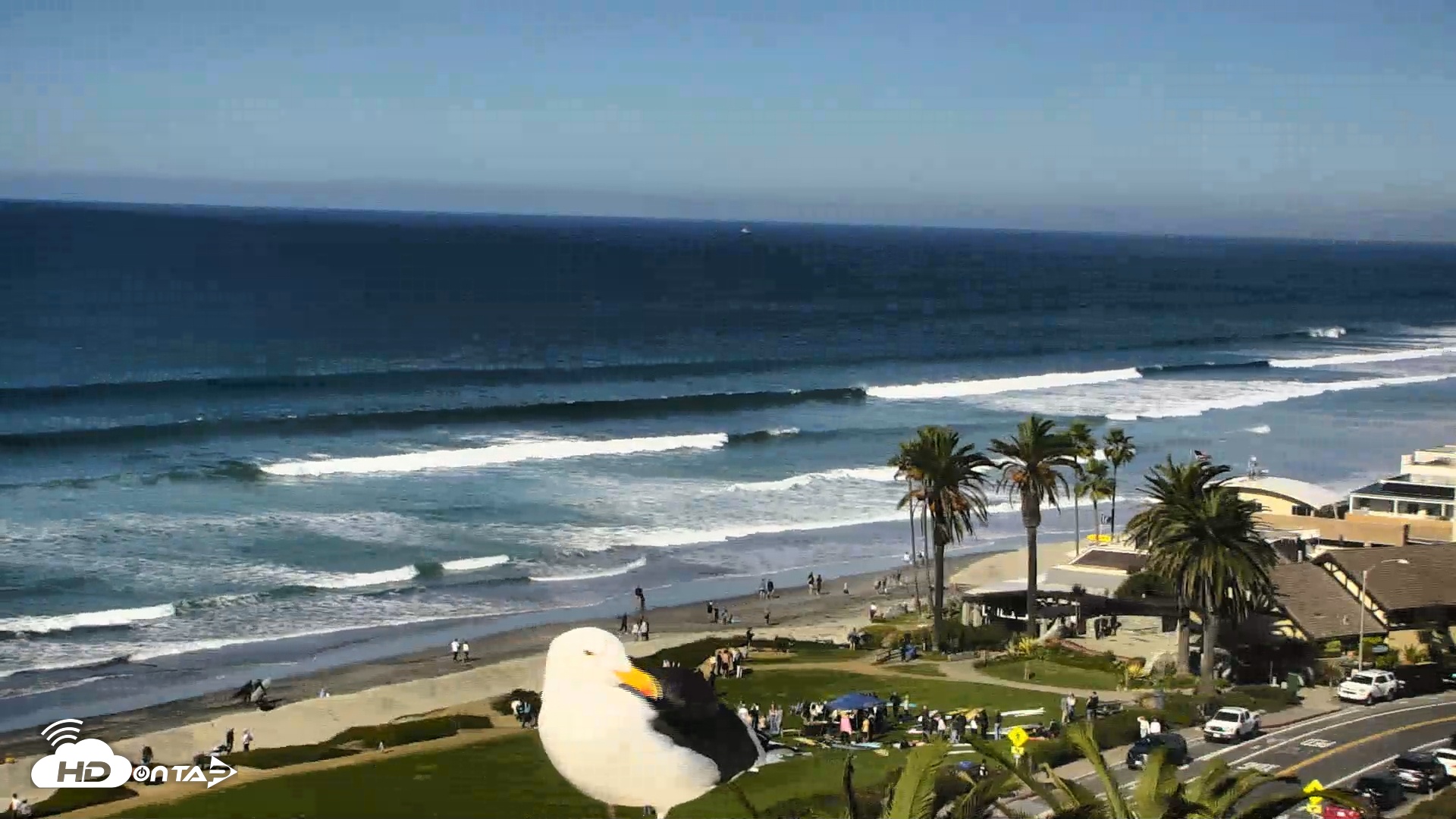 Snapshot of Del Mar Beach Overlook Roaming Live Webcam taken Nov 23, 2025, 11:17am PST