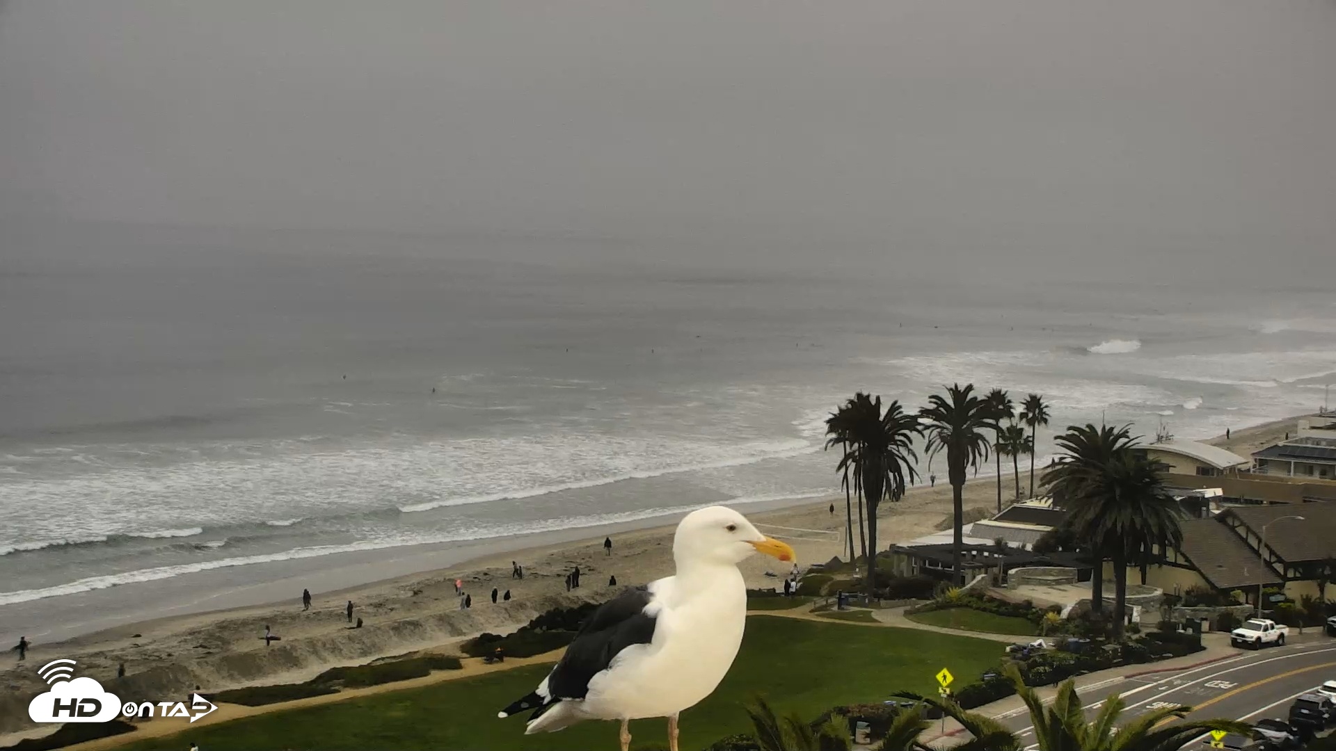 Snapshot of Del Mar Beach Overlook Roaming Live Webcam taken Nov 2, 2025, 8:16am PST