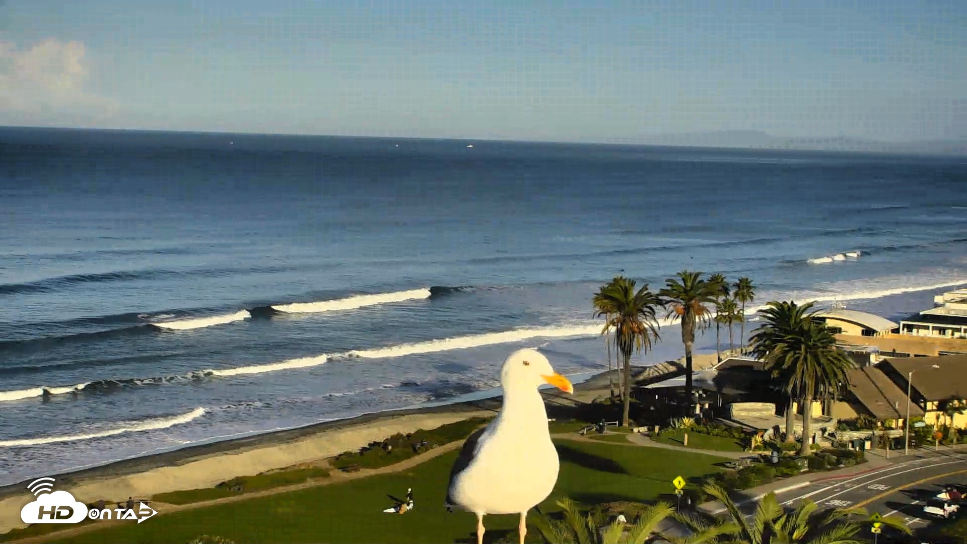 Snapshot of Del Mar Beach Overlook Roaming Live Webcam taken Nov 19, 2025, 7:53am PST