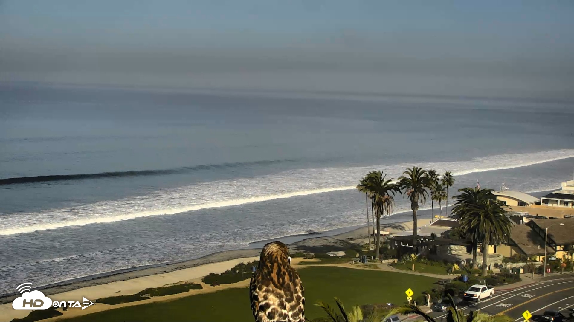 Snapshot of Del Mar Beach Overlook Roaming Live Webcam taken Feb 2, 2026, 8:55am PST