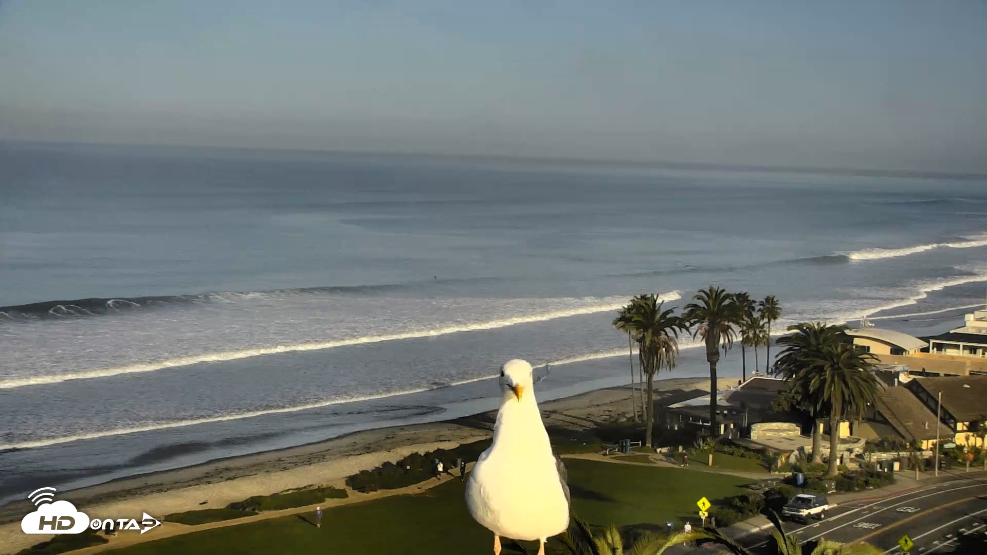 Snapshot of Del Mar Beach Overlook Roaming Live Webcam taken Feb 3, 2026, 8:12am PST