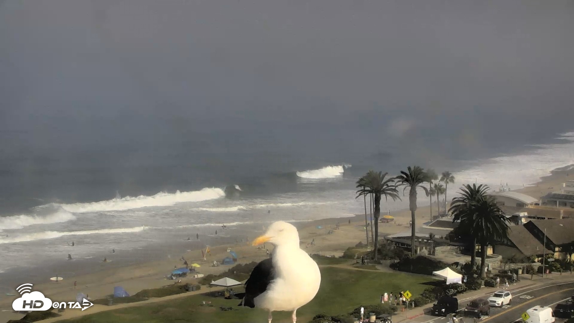 Snapshot of Del Mar Beach Overlook Roaming Live Webcam taken Aug 29, 2026, 9:23am PDT