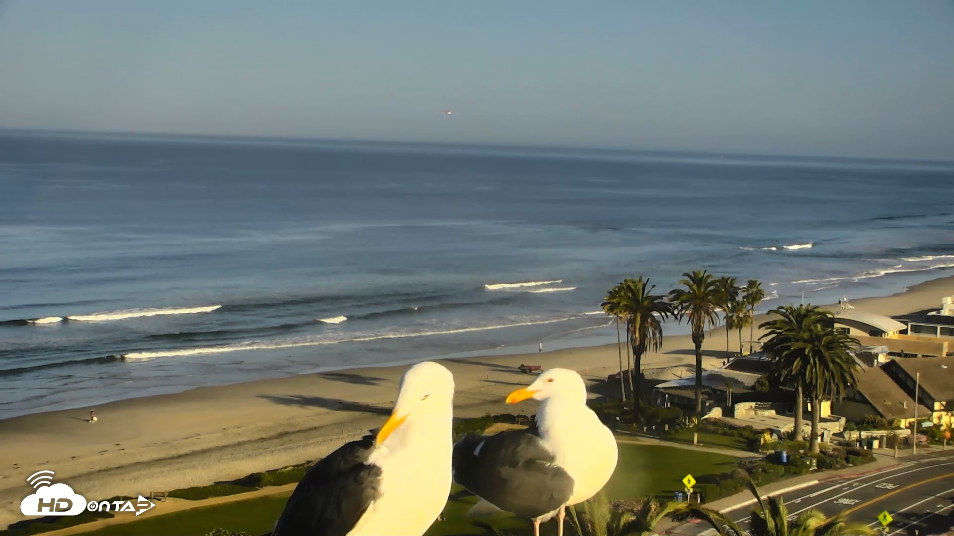 Snapshot of Del Mar Beach Overlook Roaming Live Webcam taken Mar 11, 2026, 8:30am PDT