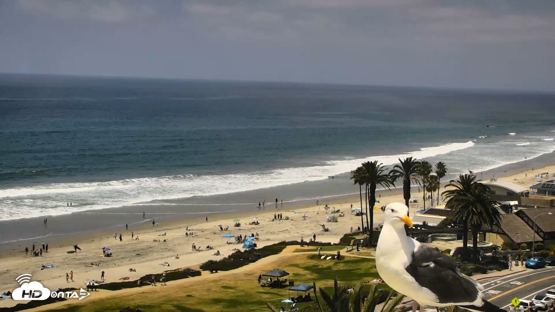 Snapshot of Del Mar Beach Overlook Roaming Live Webcam taken May 22, 2026, 1:20pm PDT