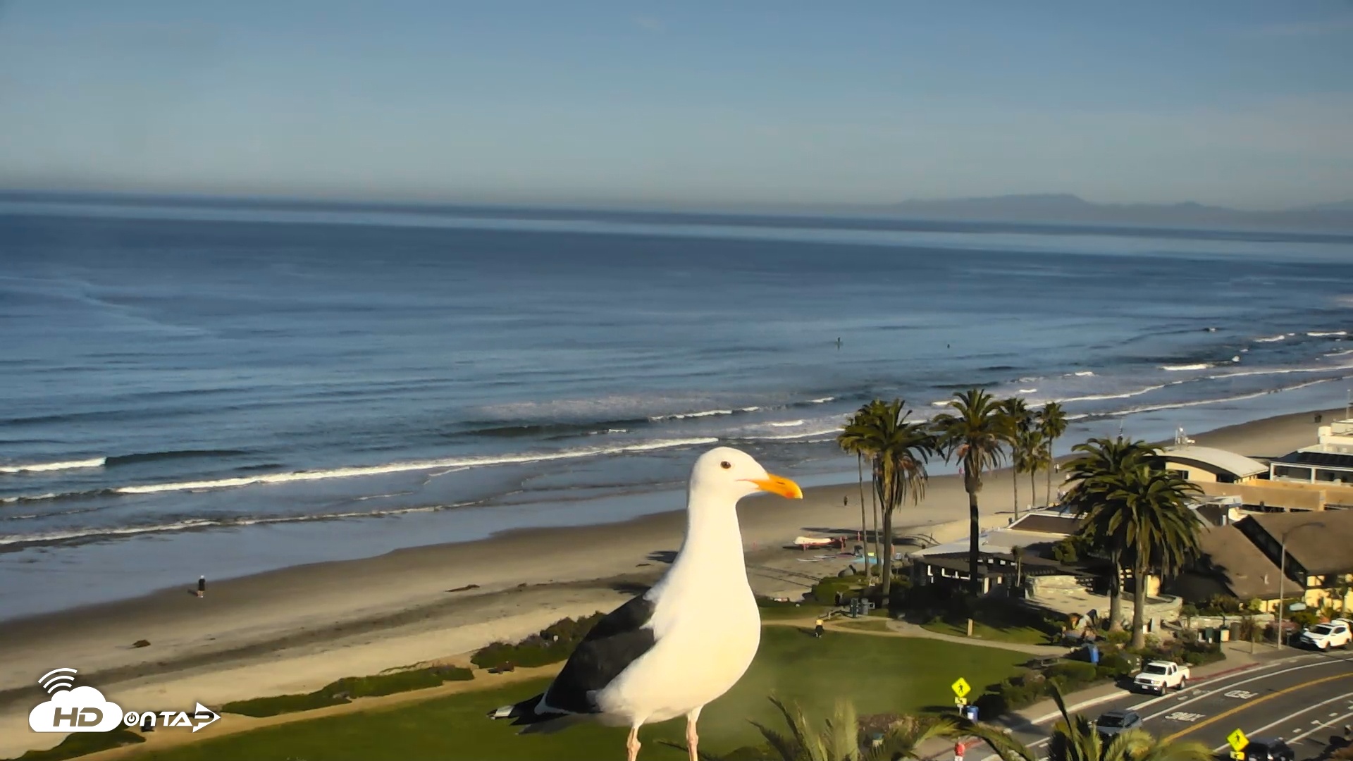 Snapshot of Del Mar Beach Overlook Roaming Live Webcam taken Feb 25, 2026, 8:29am PST