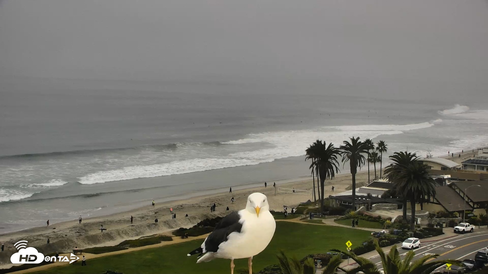 Snapshot of Del Mar Beach Overlook Roaming Live Webcam taken Nov 2, 2025, 8:17am PST