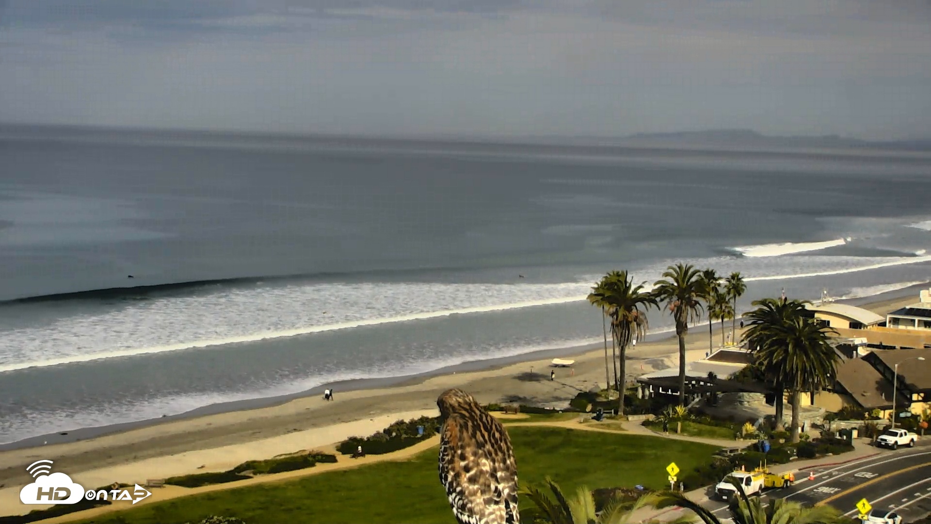 Snapshot of Del Mar Beach Overlook Roaming Live Webcam taken Feb 5, 2026, 9:05am PST