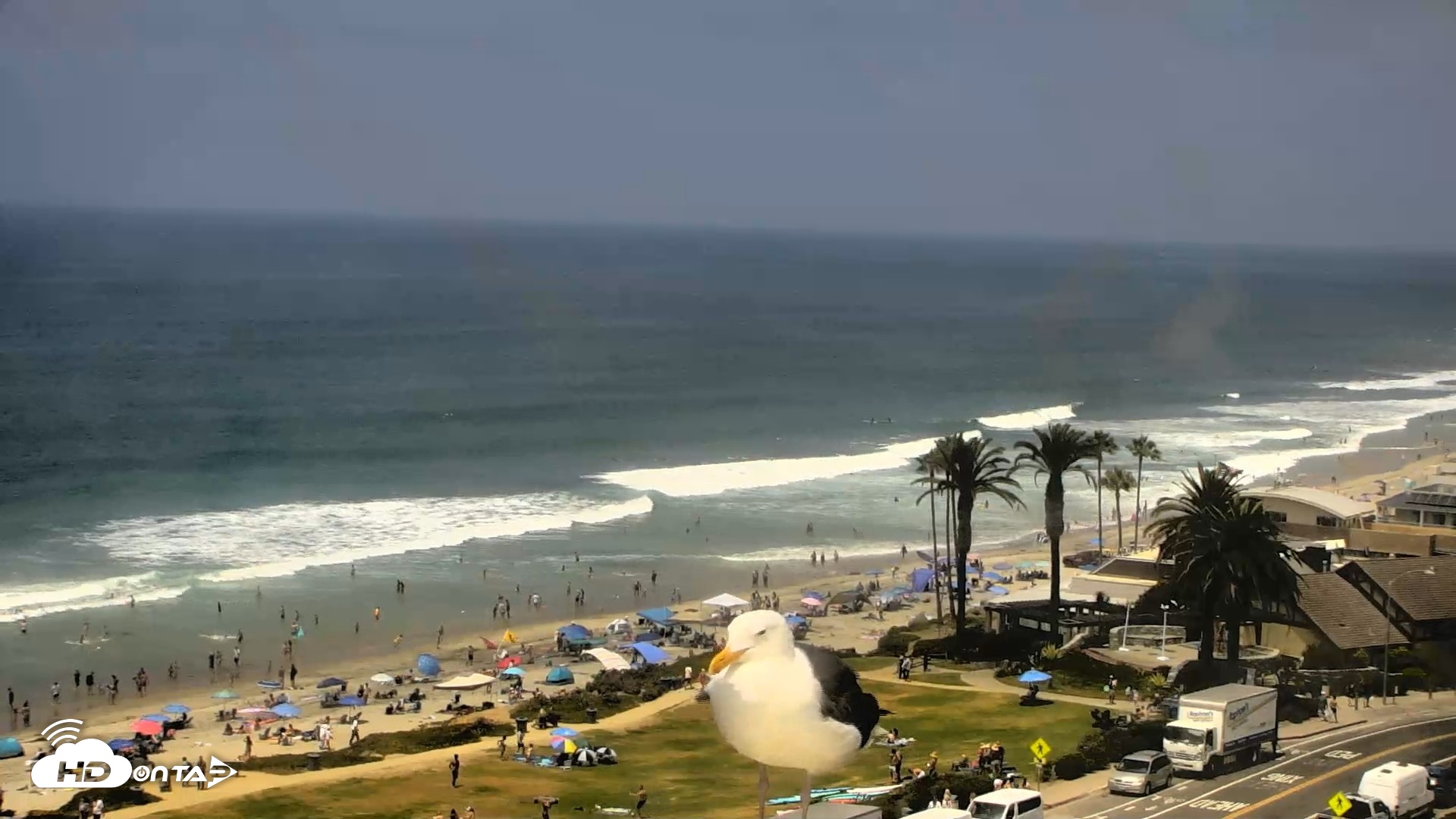 Snapshot of Del Mar Beach Overlook Roaming Live Webcam taken Jul 31, 2026, 1:00pm PDT