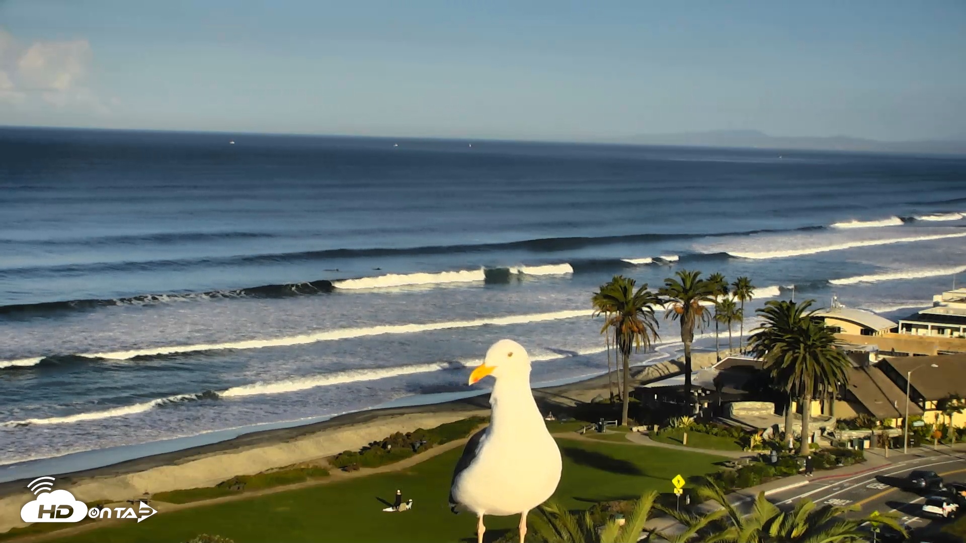 Snapshot of Del Mar Beach Overlook Roaming Live Webcam taken Nov 19, 2025, 7:56am PST