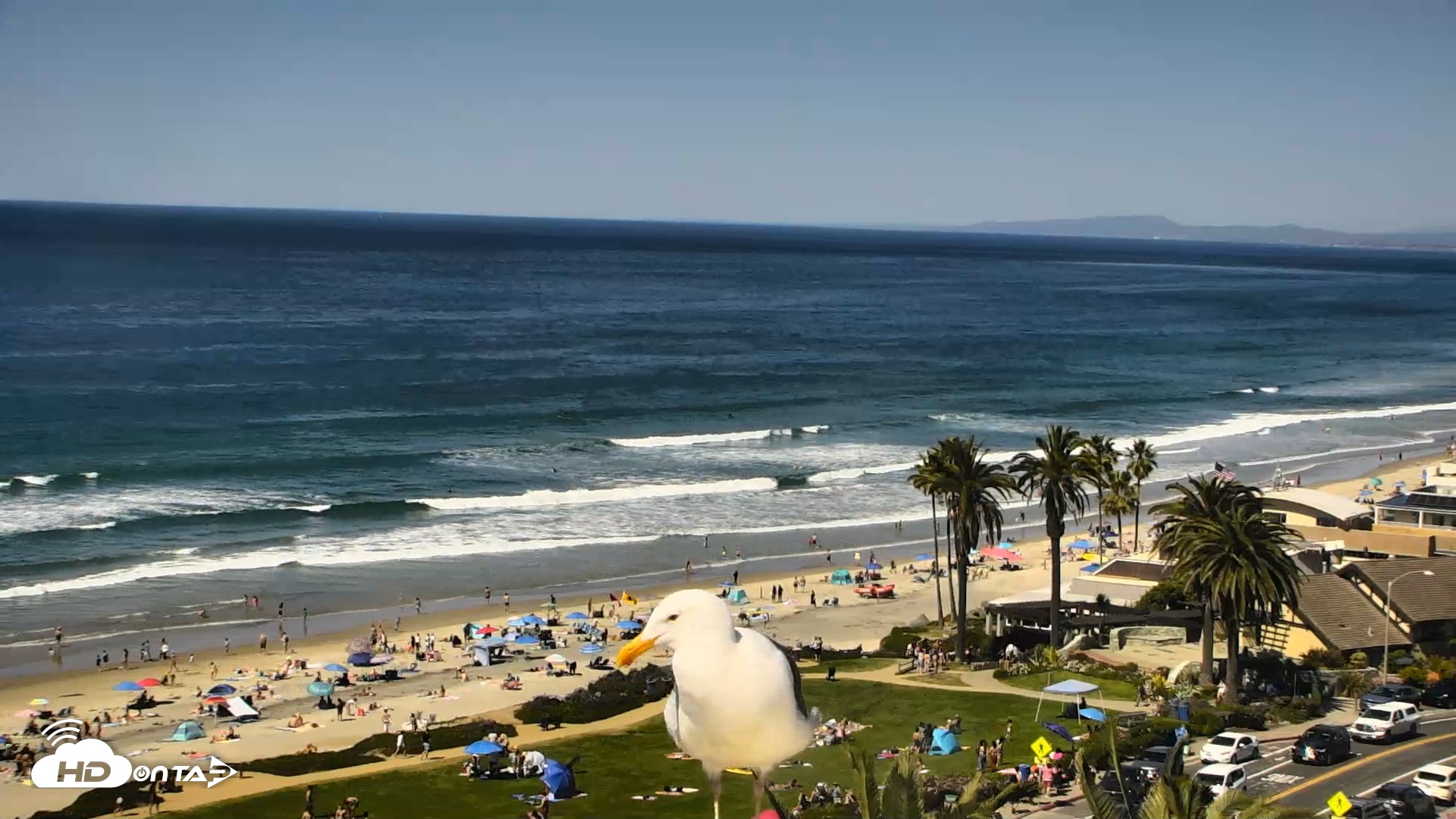 Snapshot of Del Mar Beach Overlook Roaming Live Webcam taken Mar 8, 2026, 1:13pm PDT