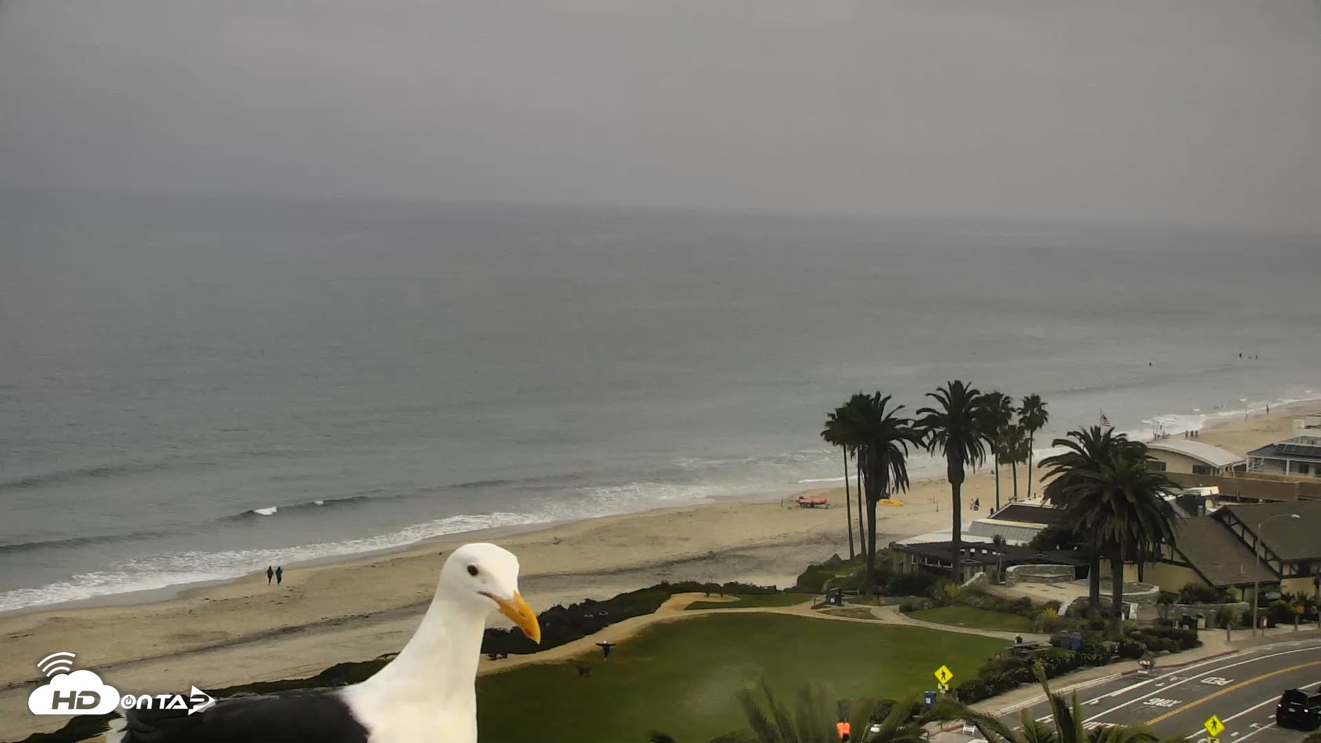 Snapshot of Del Mar Beach Overlook Roaming Live Webcam taken Mar 30, 2026, 9:13am PDT