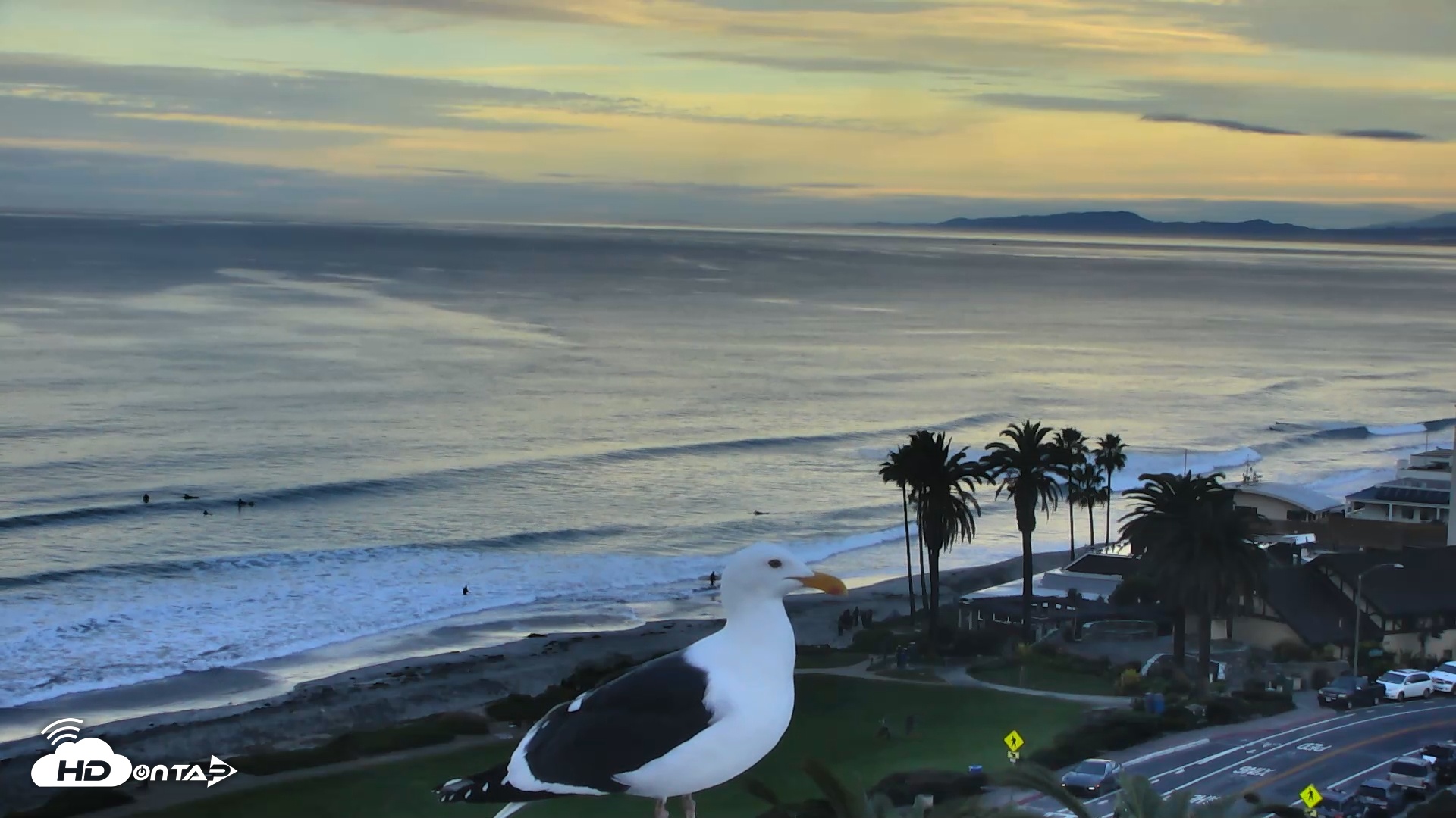 Snapshot of Del Mar Beach Overlook Roaming Live Webcam taken Jan 3, 2026, 7:21am PST
