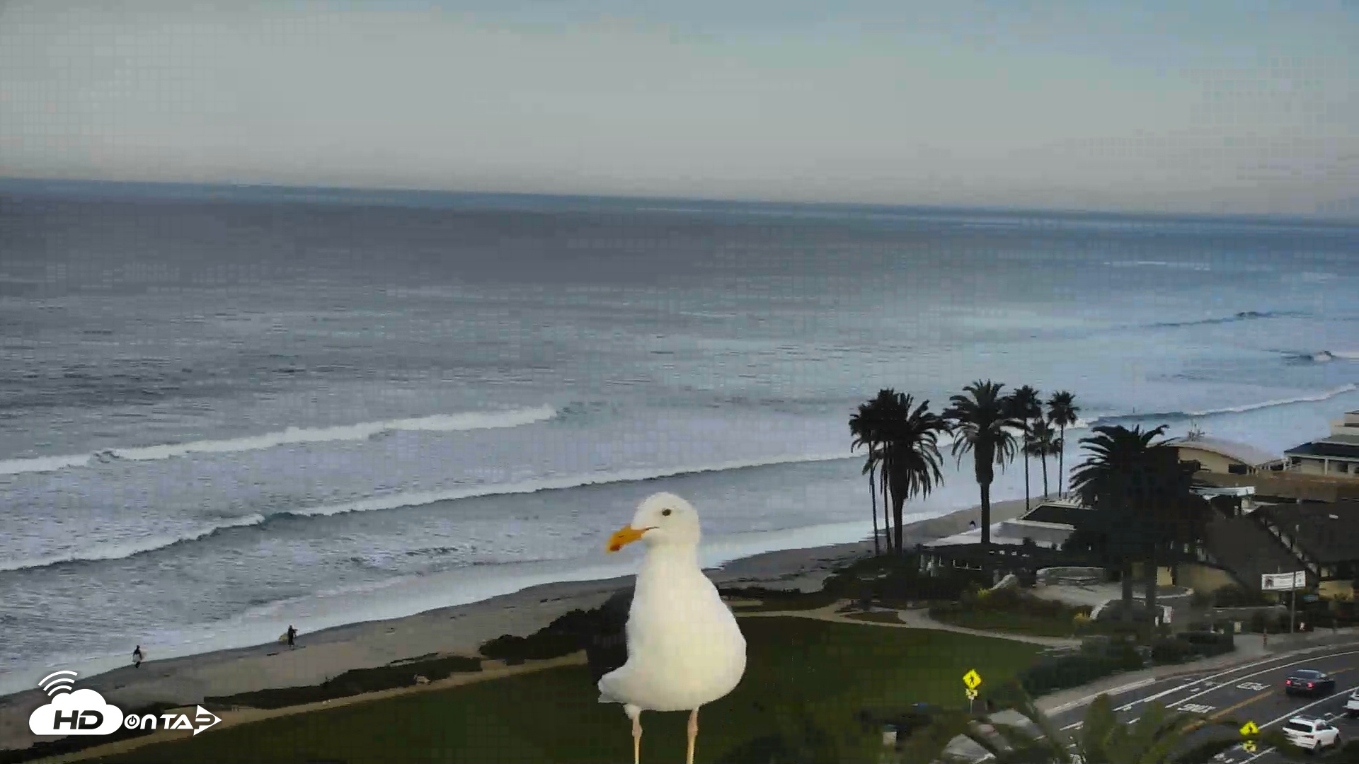 Snapshot of Del Mar Beach Overlook Roaming Live Webcam taken Dec 3, 2025, 7:58am PST