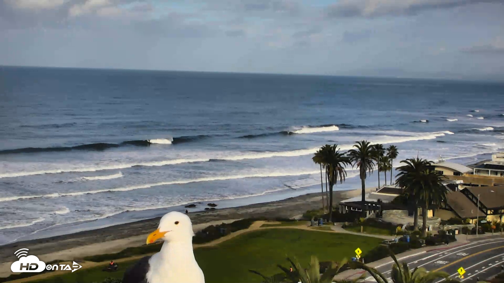 Snapshot of Del Mar Beach Overlook Roaming Live Webcam taken Feb 19, 2026, 8:38am PST