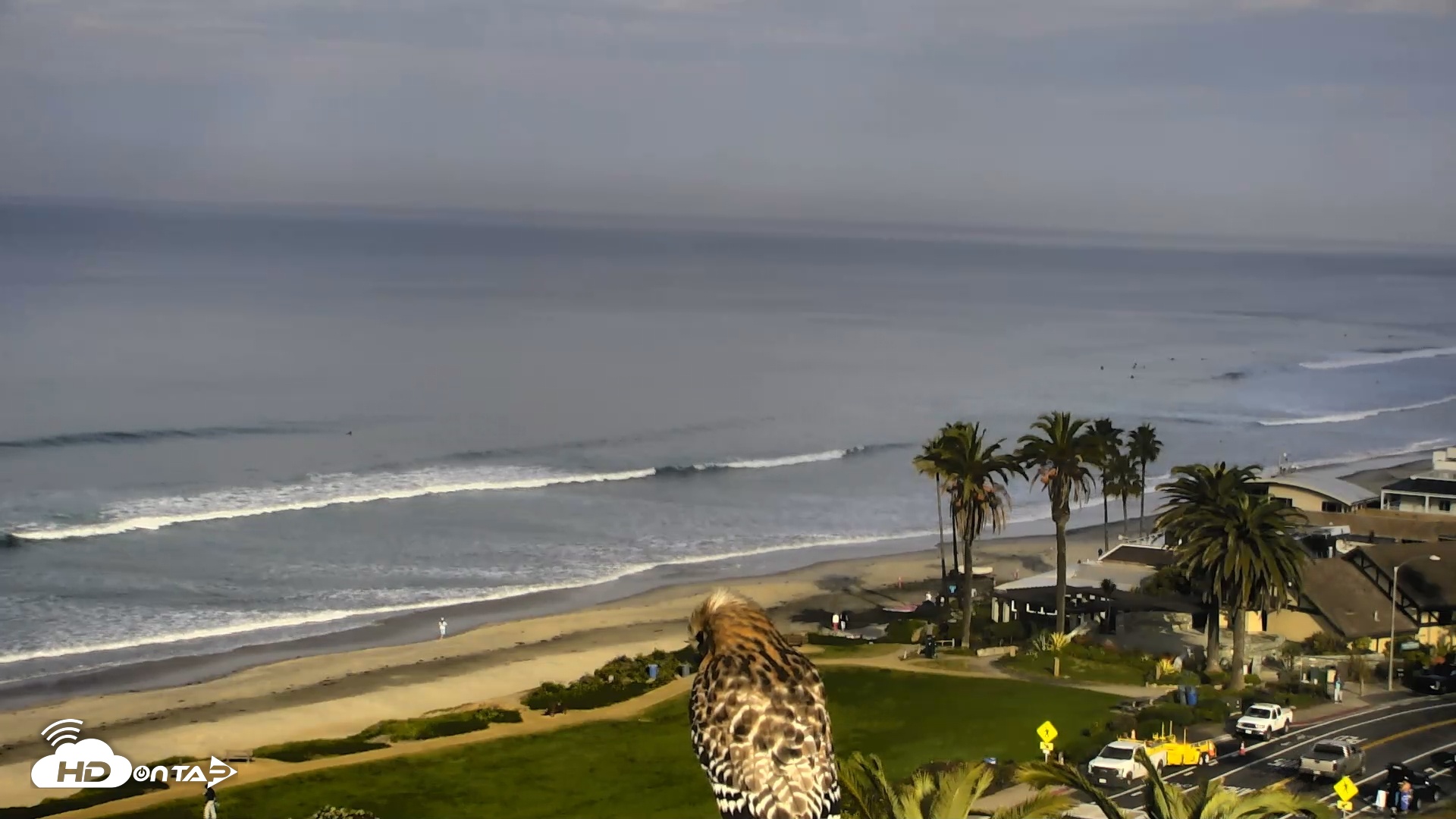 Snapshot of Del Mar Beach Overlook Roaming Live Webcam taken Jan 22, 2026, 9:07am PST