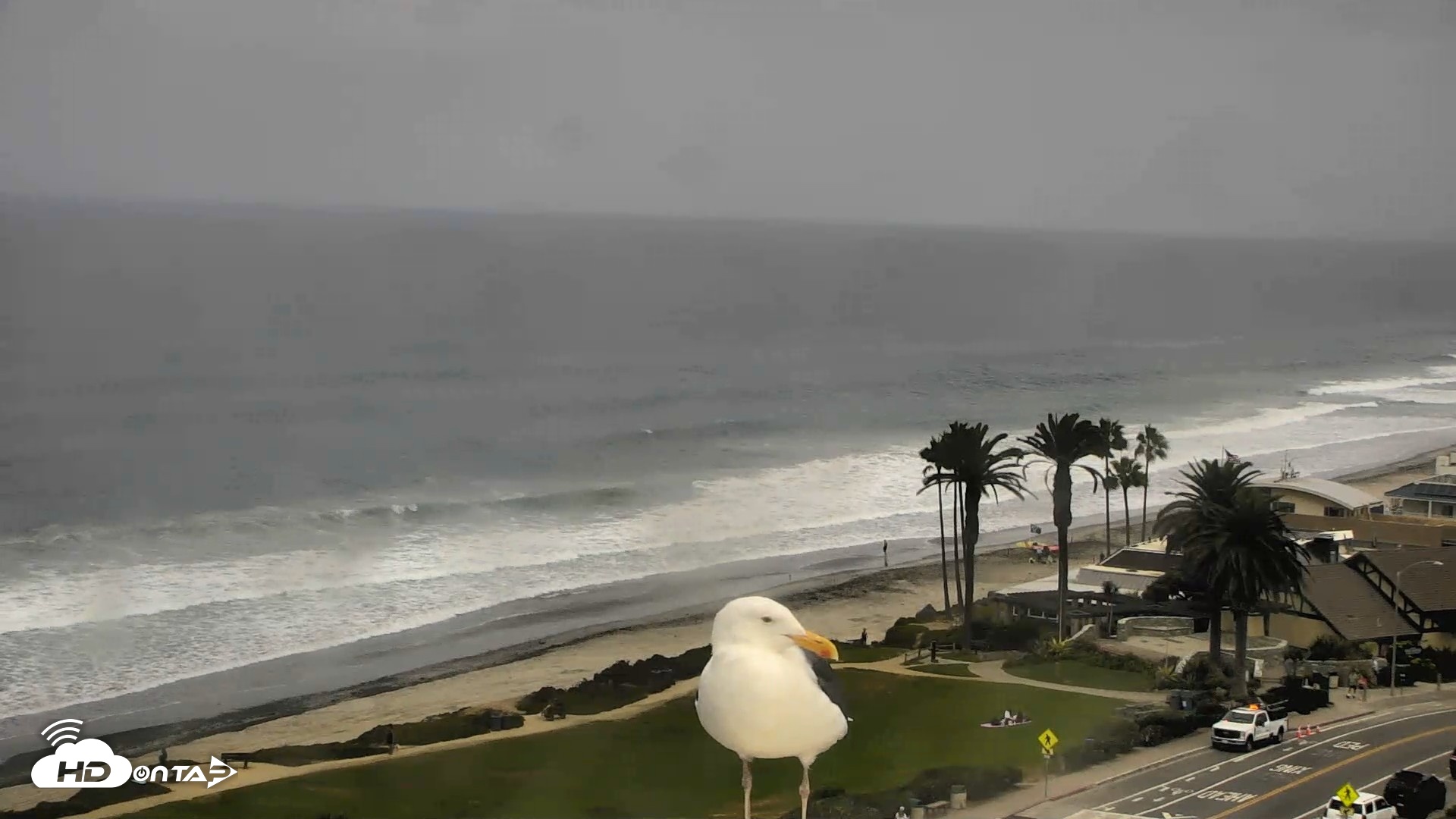 Snapshot of Del Mar Beach Overlook Roaming Live Webcam taken Sep 15, 2026, 9:46am PDT