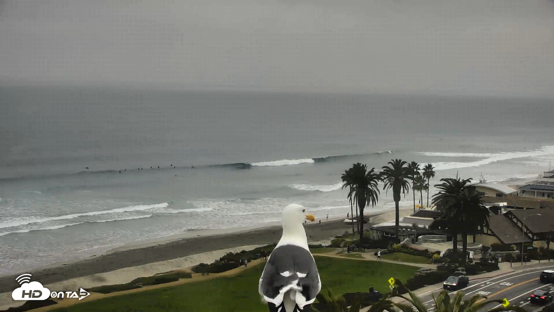Snapshot of Del Mar Beach Overlook Roaming Live Webcam taken Dec 23, 2025, 9:01am PST