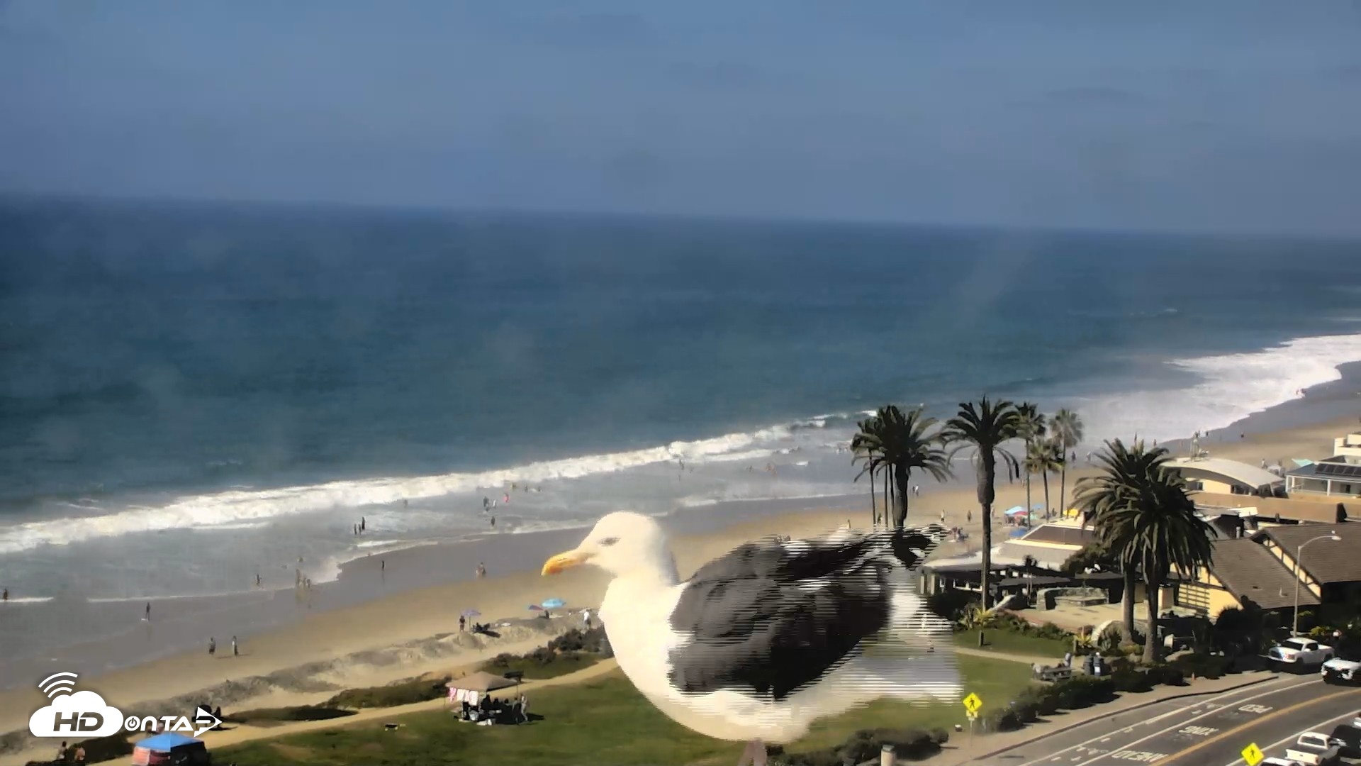 Snapshot of Del Mar Beach Overlook Roaming Live Webcam taken Oct 9, 2026, 1:47pm PDT