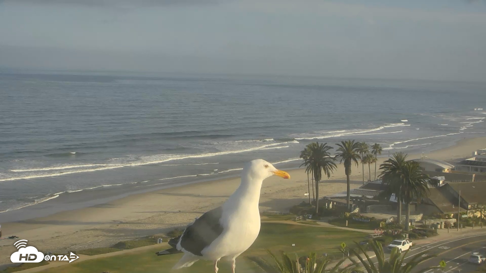 Snapshot of Del Mar Beach Overlook Roaming Live Webcam taken Jul 9, 2025, 7:20am PDT