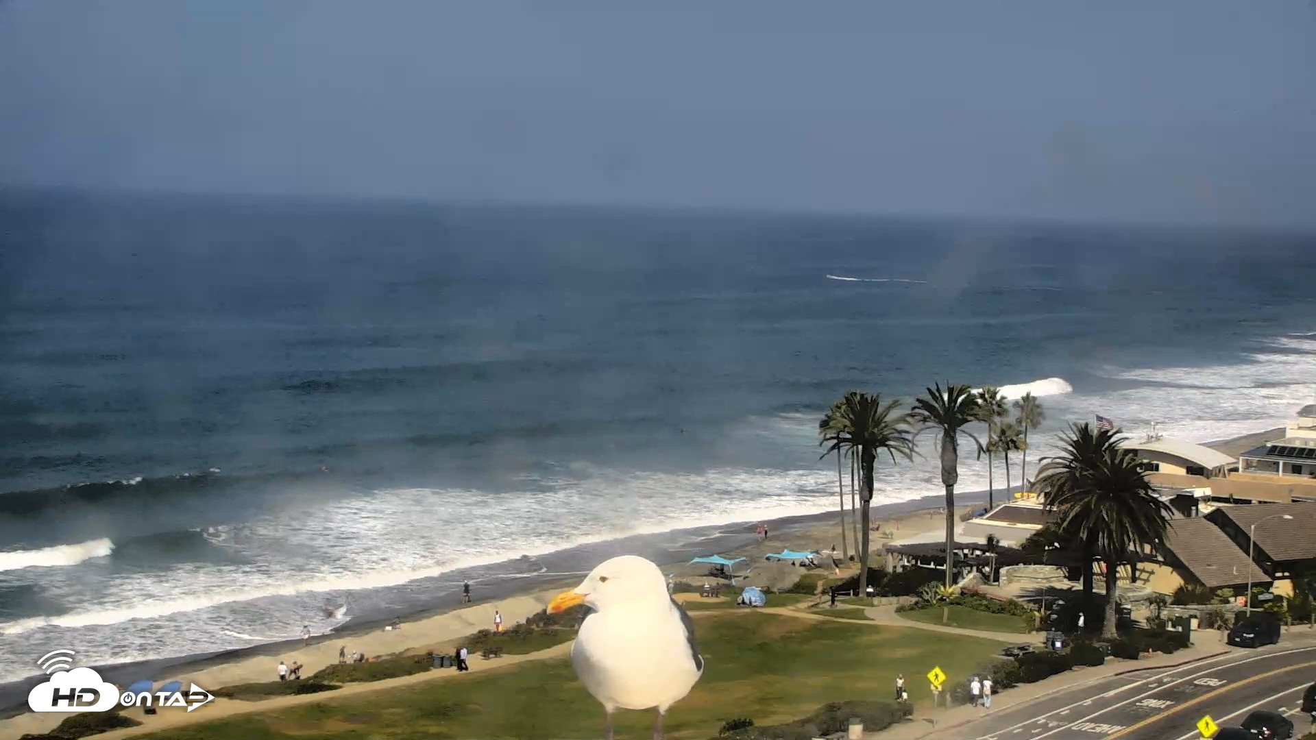 Snapshot of Del Mar Beach Overlook Roaming Live Webcam taken Sep 30, 2026, 11:19am PDT