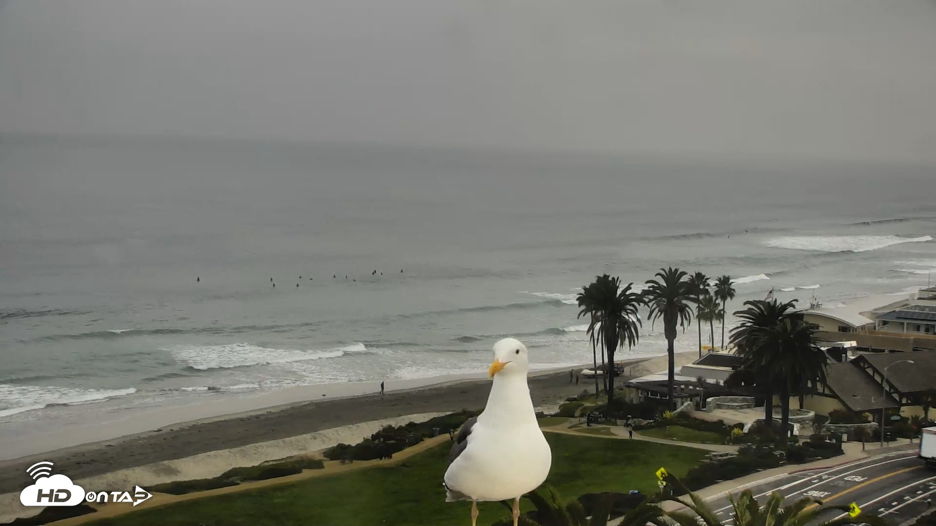 Snapshot of Del Mar Beach Overlook Roaming Live Webcam taken Dec 23, 2025, 8:53am PST