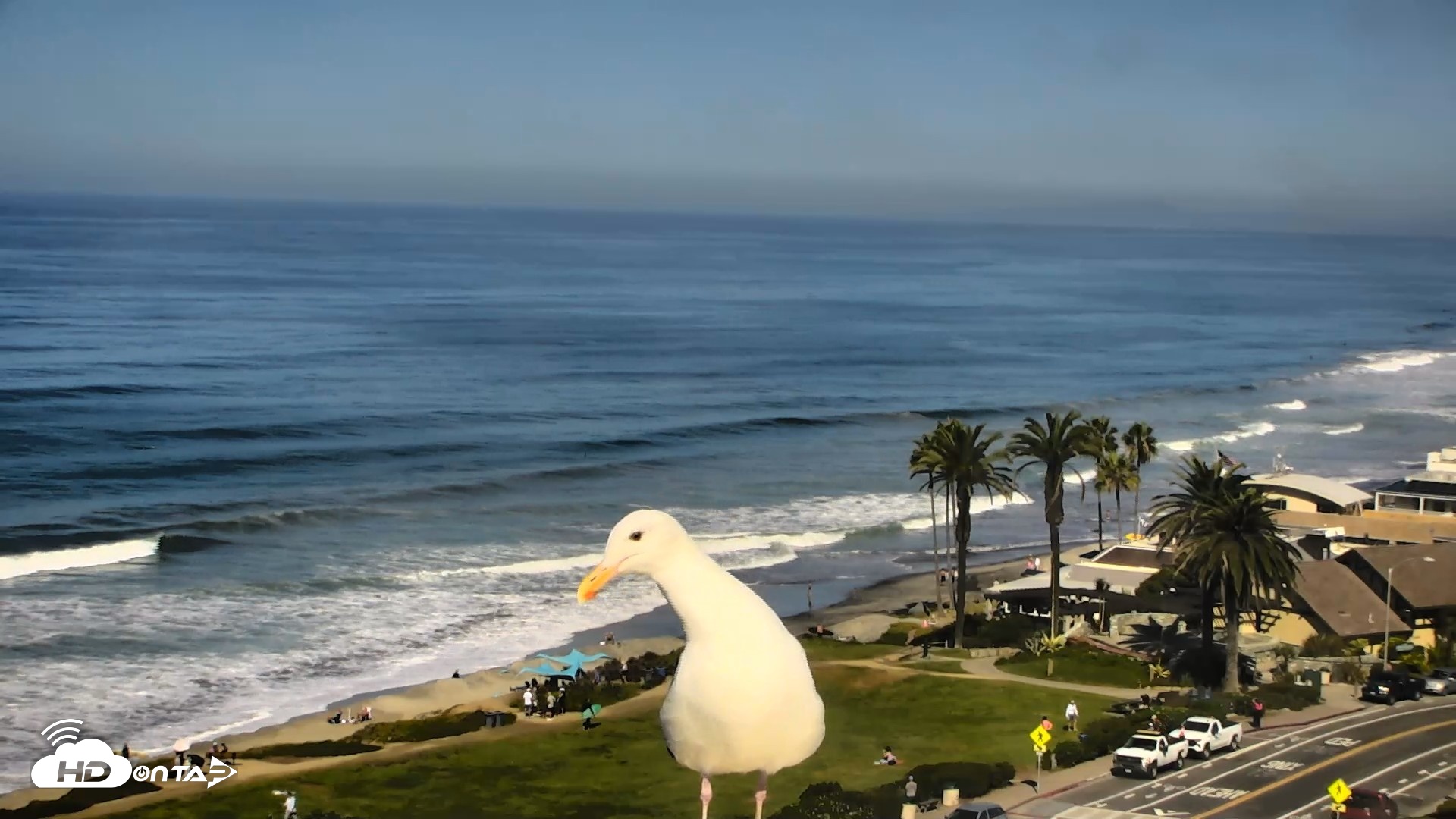 Snapshot of Del Mar Beach Overlook Roaming Live Webcam taken Oct 14, 2026, 10:56am PDT