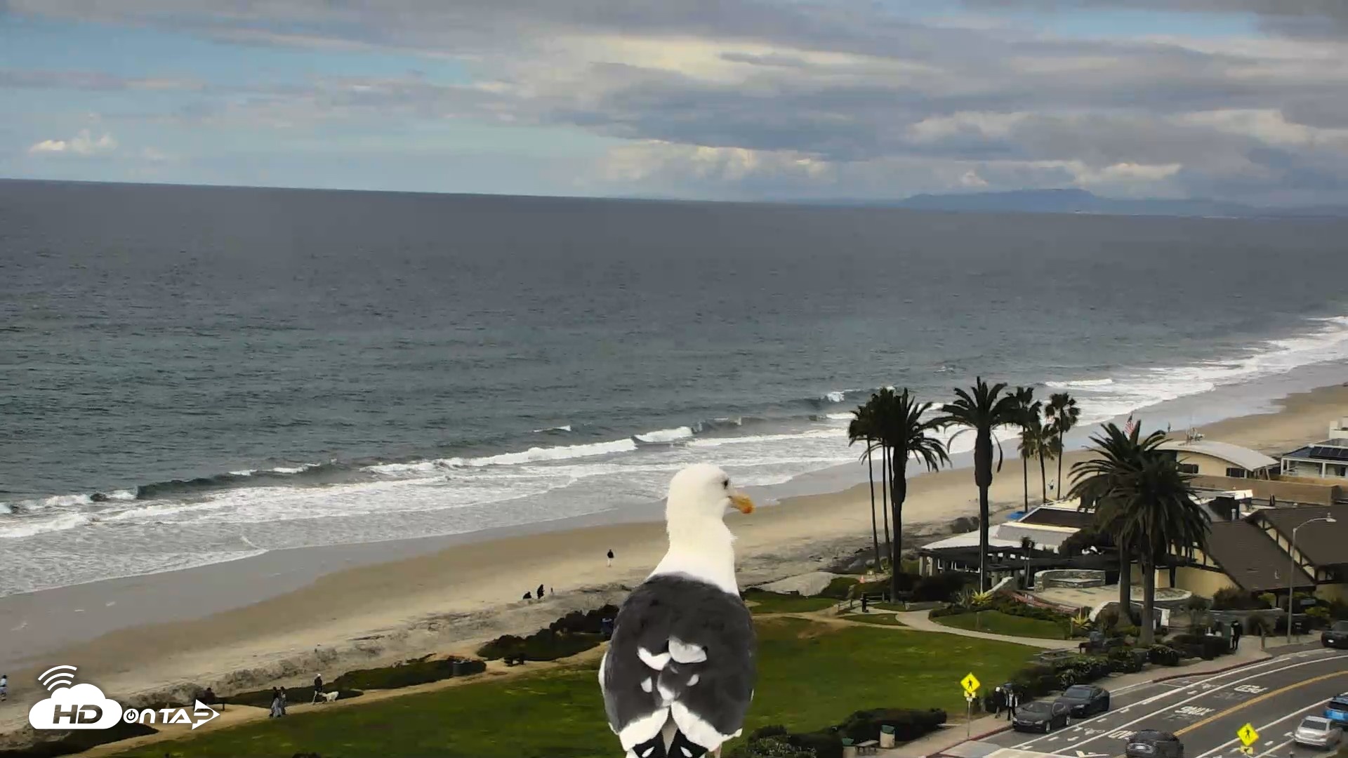 Snapshot of Del Mar Beach Overlook Roaming Live Webcam taken Oct 23, 2026, 2:41pm PDT