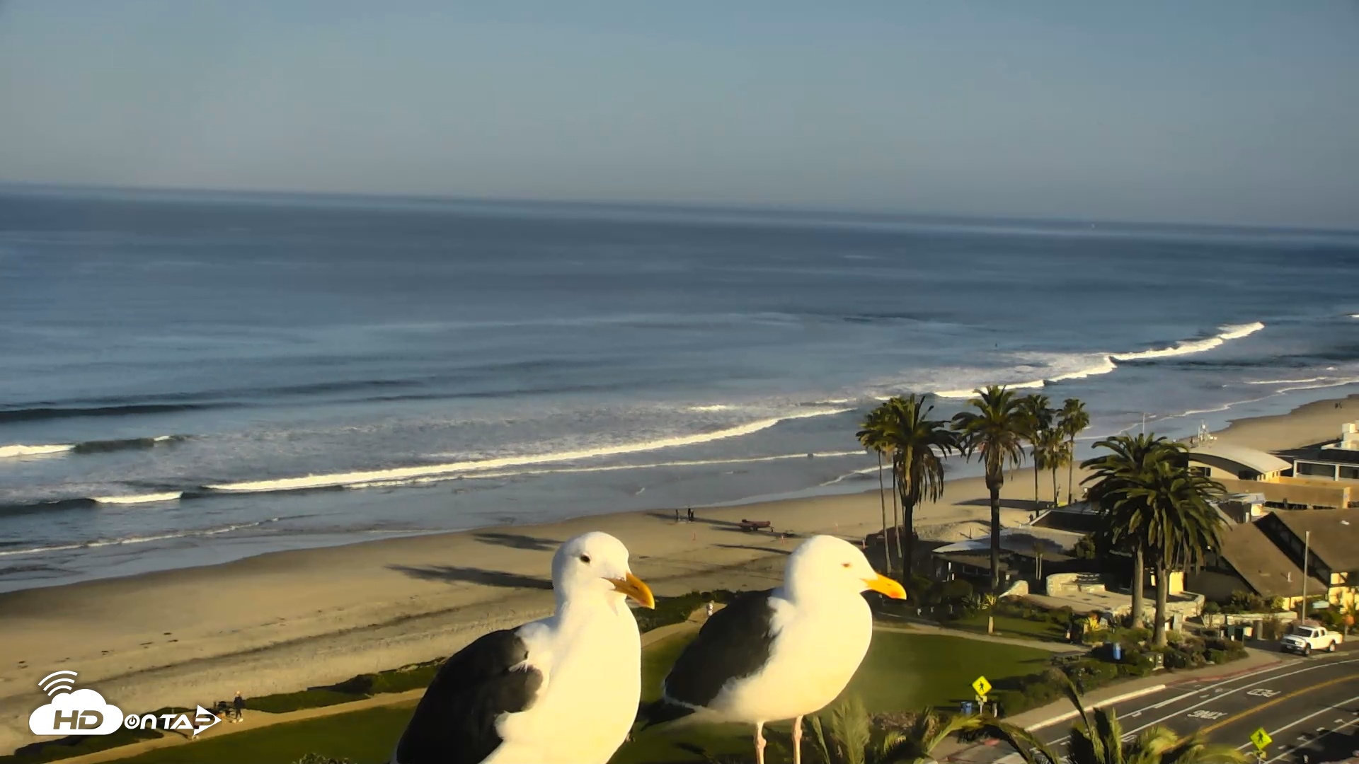 Snapshot of Del Mar Beach Overlook Roaming Live Webcam taken Mar 11, 2026, 8:33am PDT