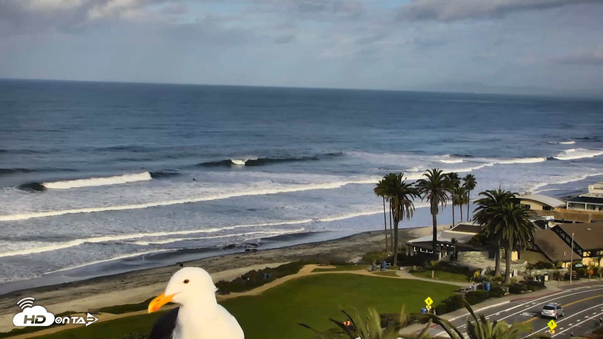 Snapshot of Del Mar Beach Overlook Roaming Live Webcam taken Feb 19, 2026, 8:39am PST