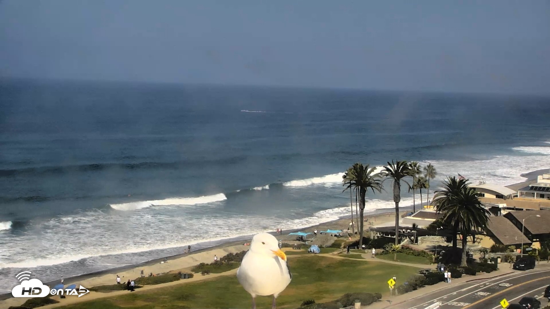 Snapshot of Del Mar Beach Overlook Roaming Live Webcam taken Sep 30, 2026, 11:19am PDT