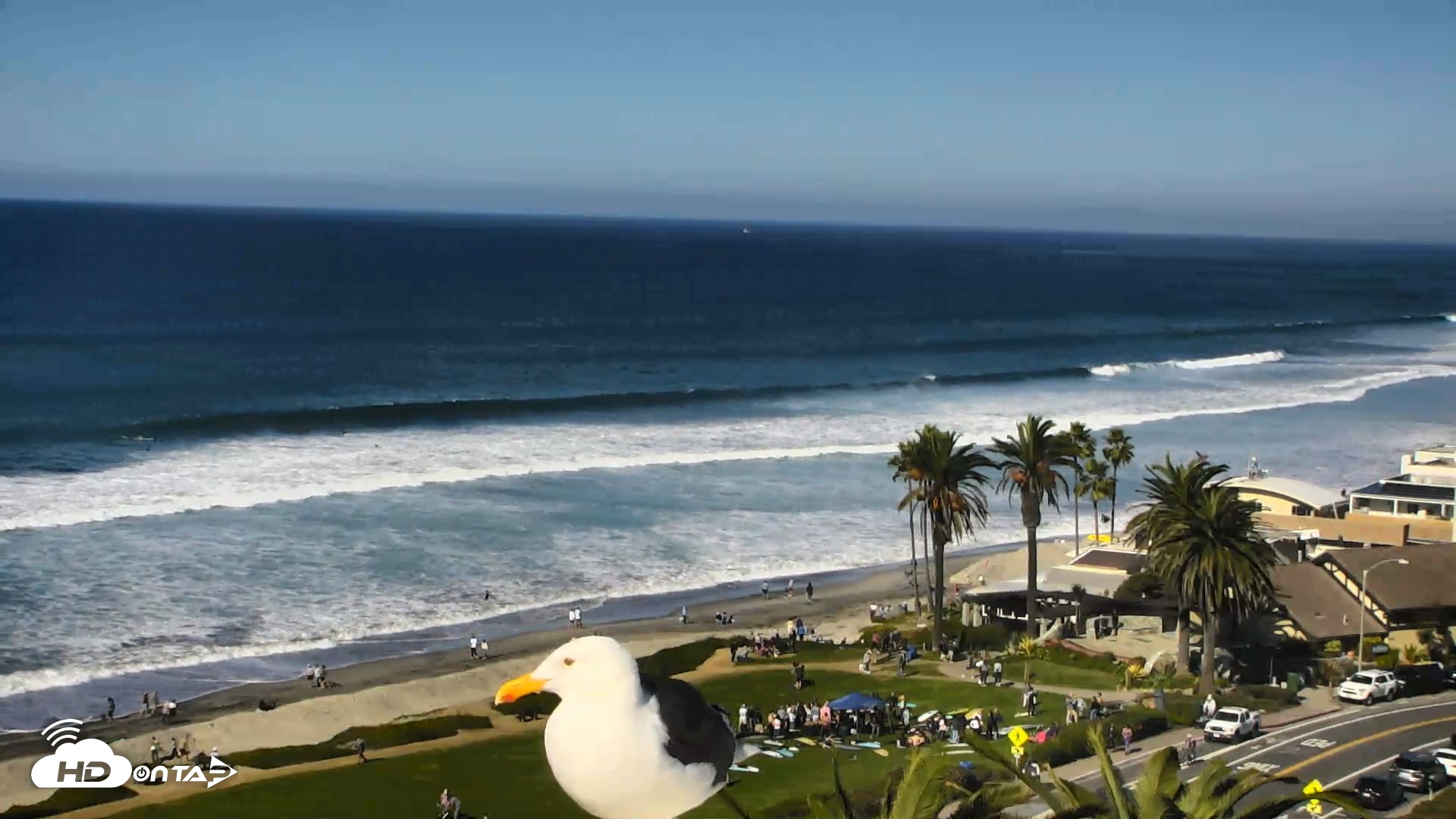Snapshot of Del Mar Beach Overlook Roaming Live Webcam taken Nov 23, 2025, 11:20am PST