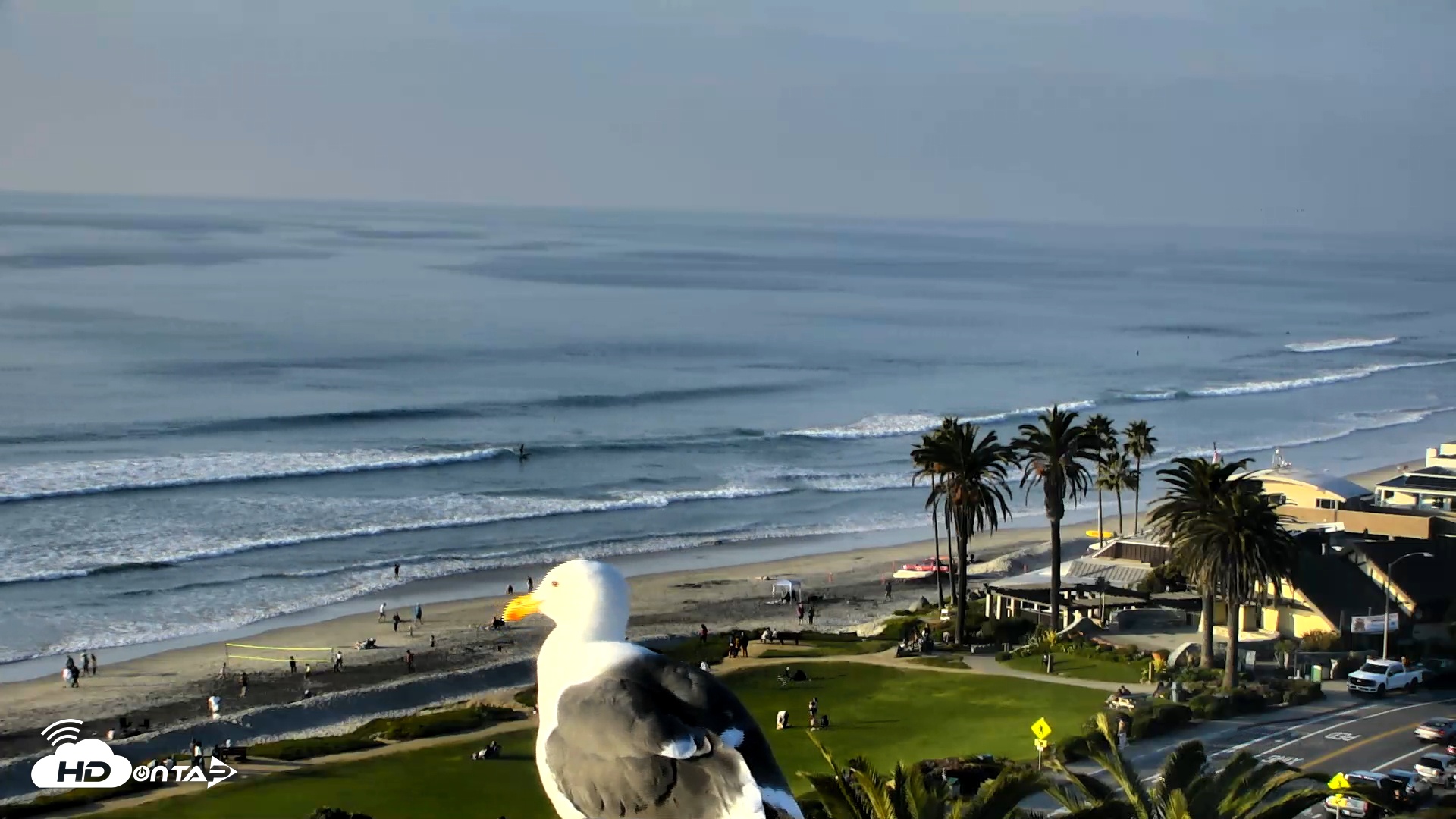 Snapshot of Del Mar Beach Overlook Roaming Live Webcam taken Nov 30, 2025, 3:35pm PST