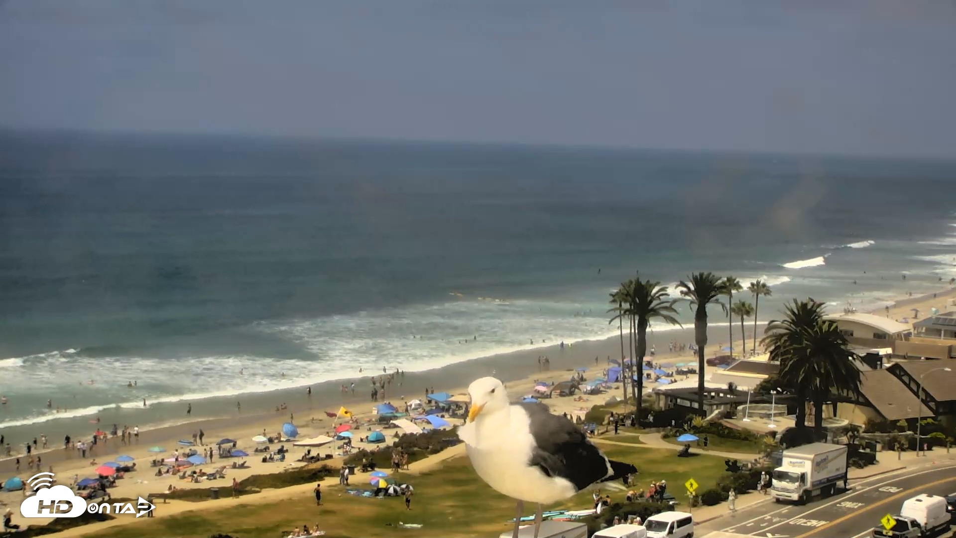 Snapshot of Del Mar Beach Overlook Roaming Live Webcam taken Jul 31, 2026, 12:59pm PDT