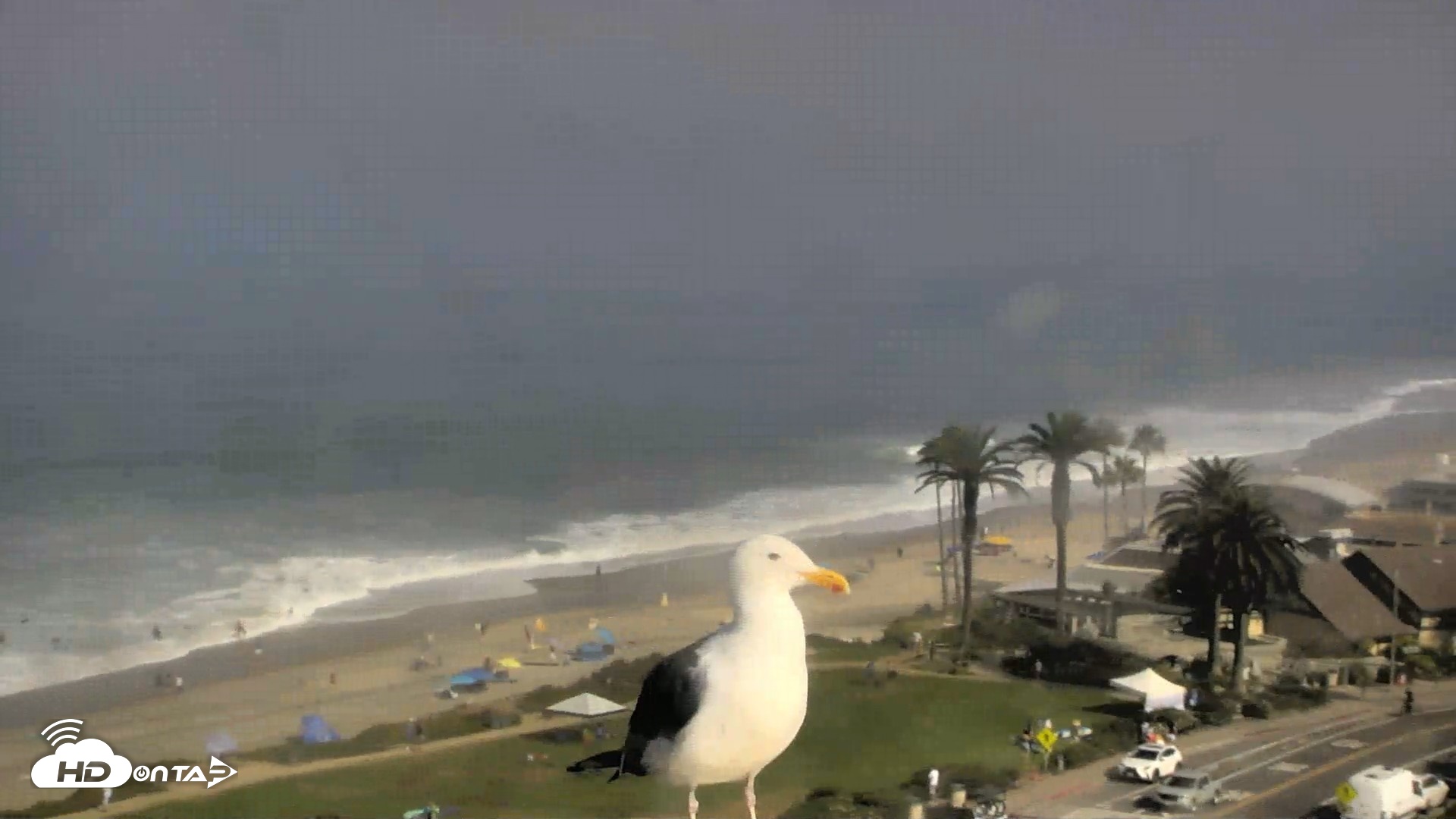 Snapshot of Del Mar Beach Overlook Roaming Live Webcam taken Aug 29, 2026, 9:24am PDT