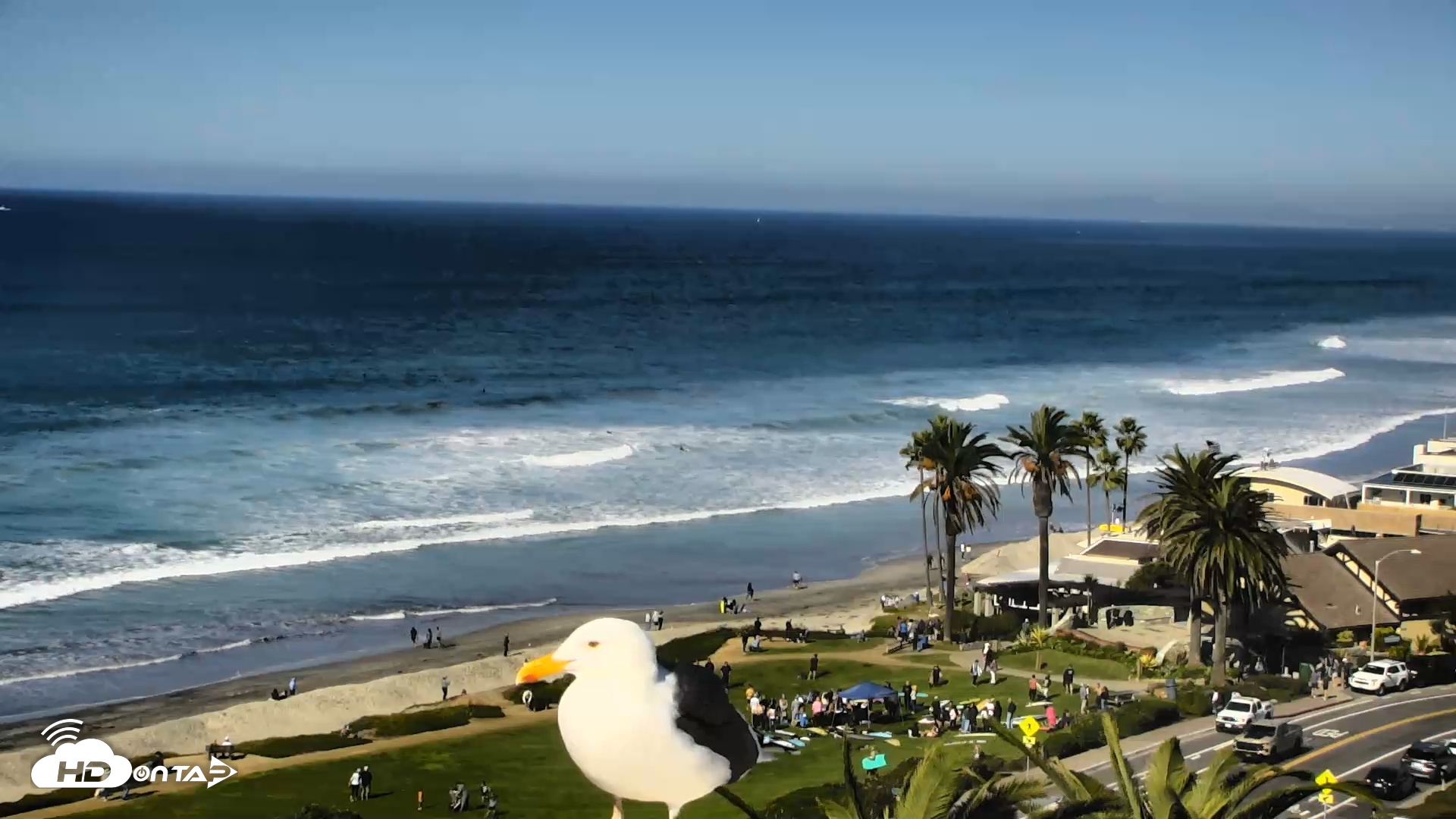 Snapshot of Del Mar Beach Overlook Roaming Live Webcam taken Nov 23, 2025, 11:18am PST