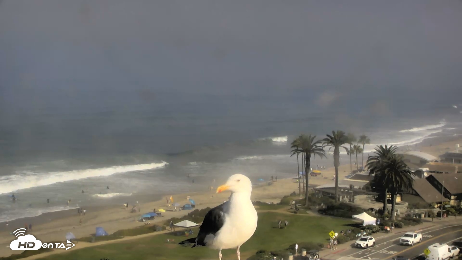 Snapshot of Del Mar Beach Overlook Roaming Live Webcam taken Aug 29, 2026, 9:24am PDT
