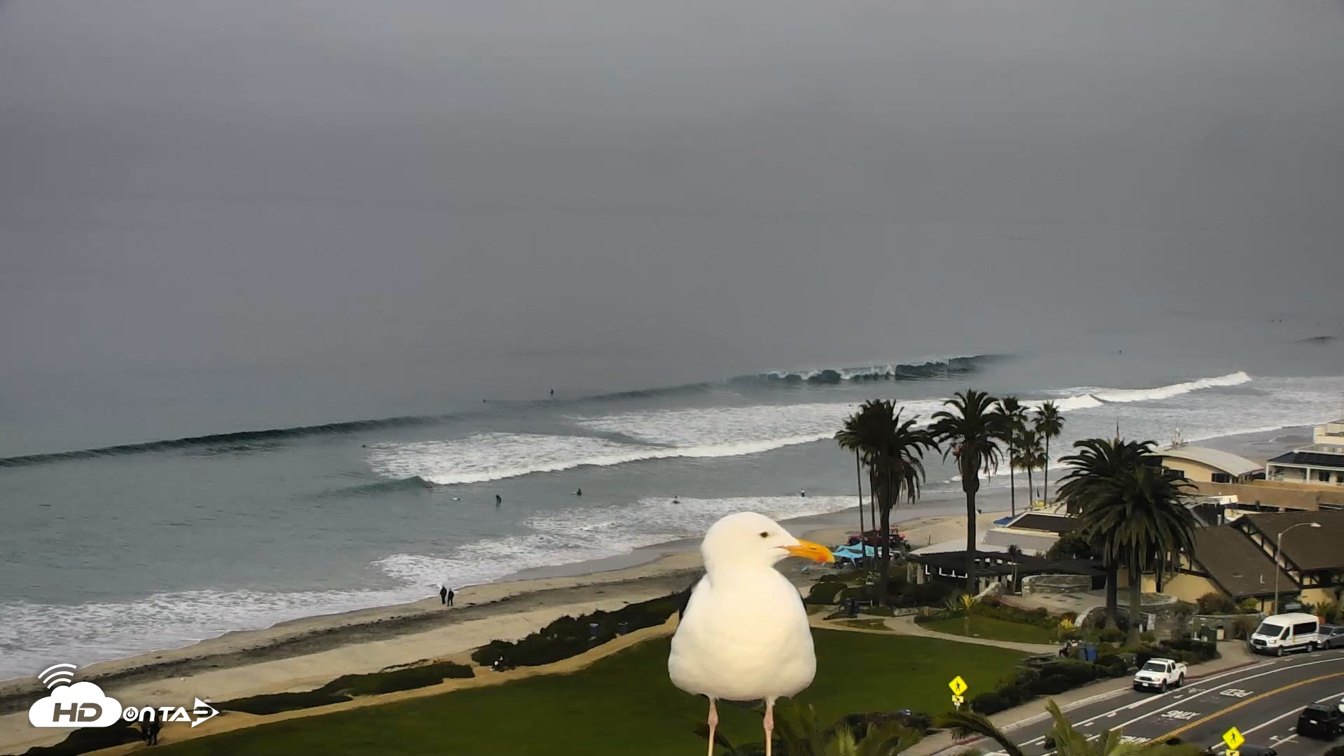 Snapshot of Del Mar Beach Overlook Roaming Live Webcam taken Jan 21, 2026, 10:16am PST