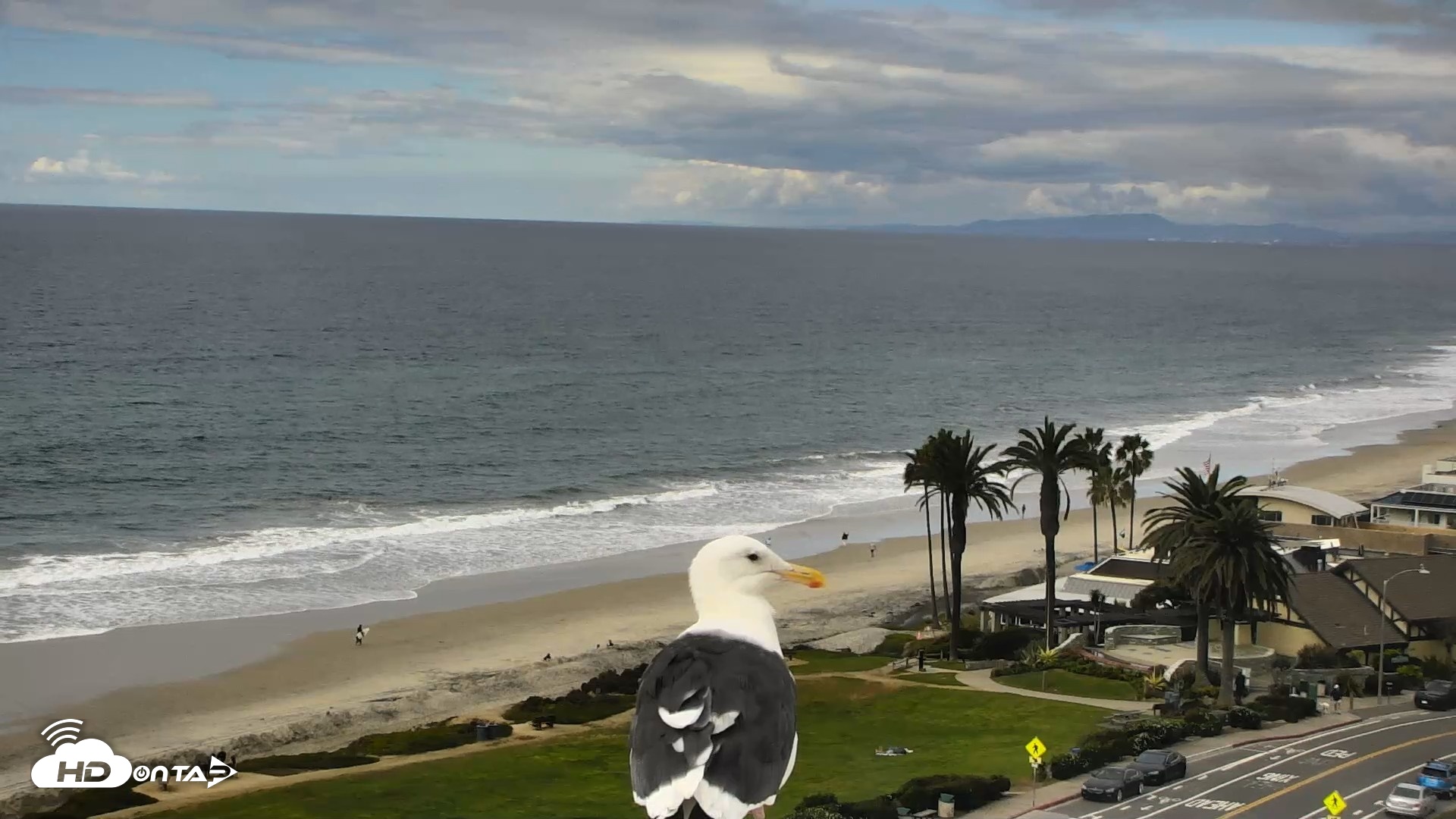 Snapshot of Del Mar Beach Overlook Roaming Live Webcam taken Oct 23, 2026, 2:43pm PDT