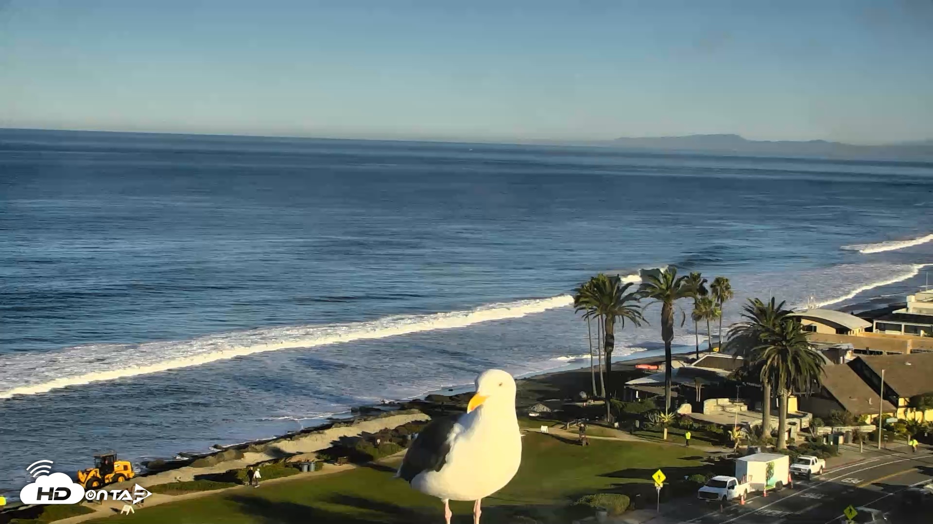 Snapshot of Del Mar Beach Overlook Roaming Live Webcam taken Oct 15, 2026, 8:10am PDT