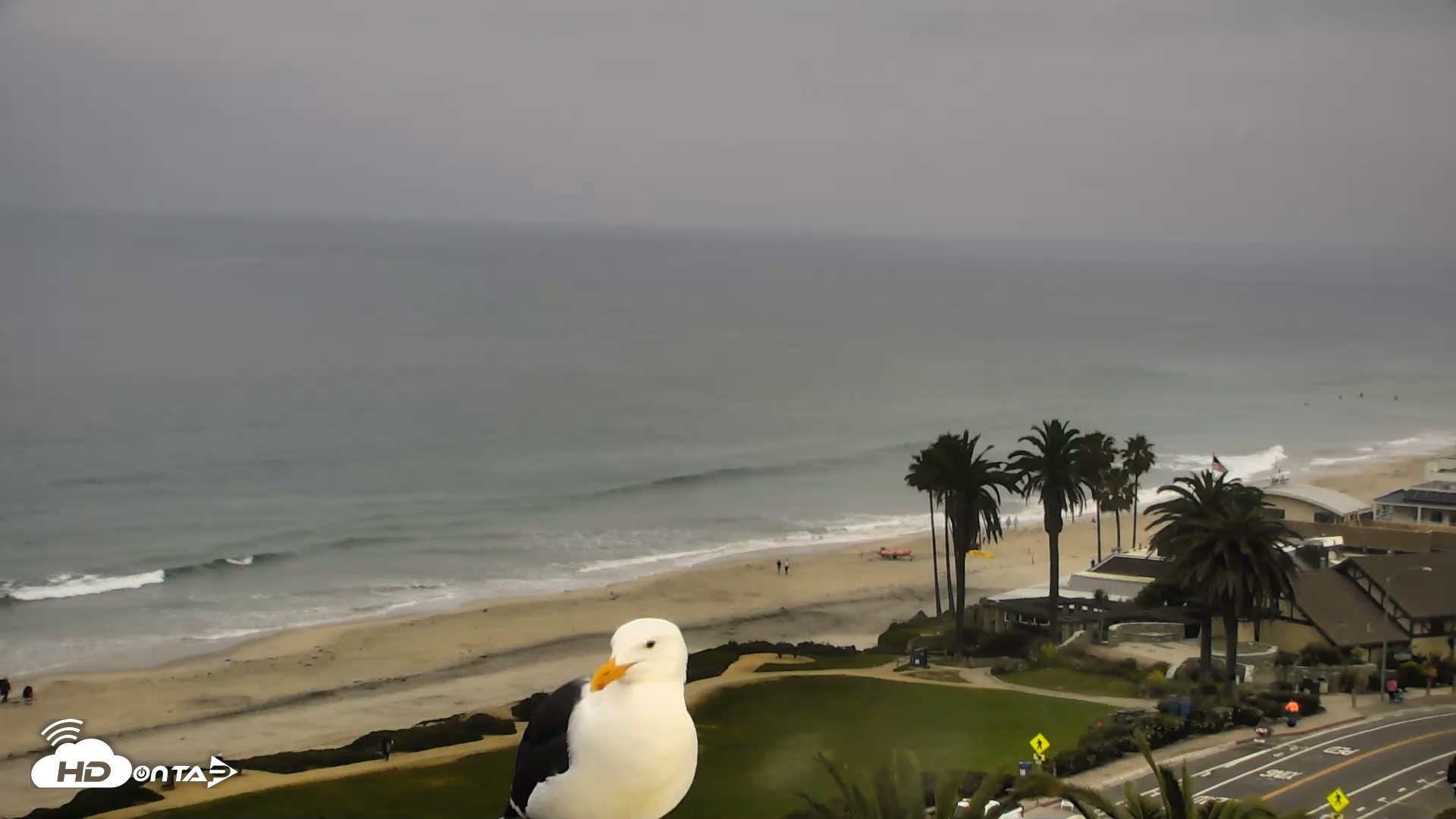 Snapshot of Del Mar Beach Overlook Roaming Live Webcam taken Mar 30, 2026, 9:10am PDT