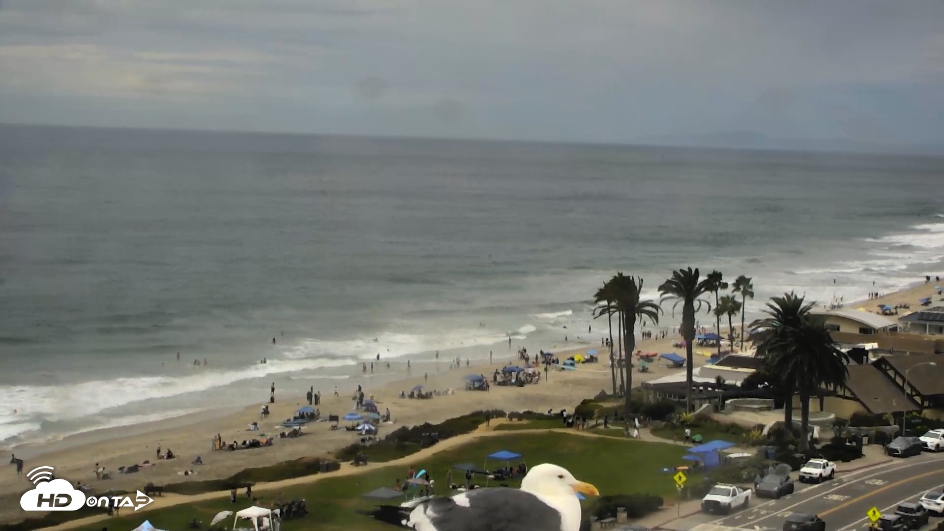 Snapshot of Del Mar Beach Overlook Roaming Live Webcam taken Sep 6, 2026, 1:34pm PDT
