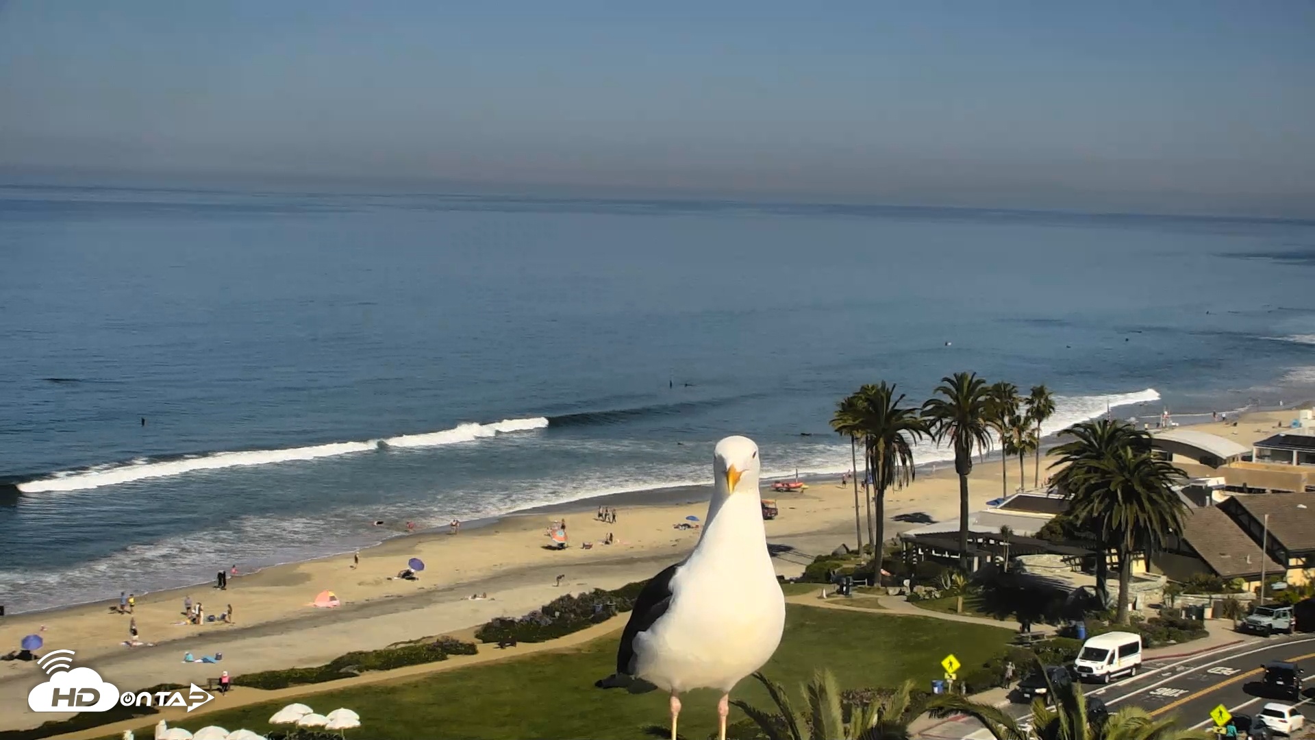 Snapshot of Del Mar Beach Overlook Roaming Live Webcam taken Mar 20, 2026, 10:14am PDT