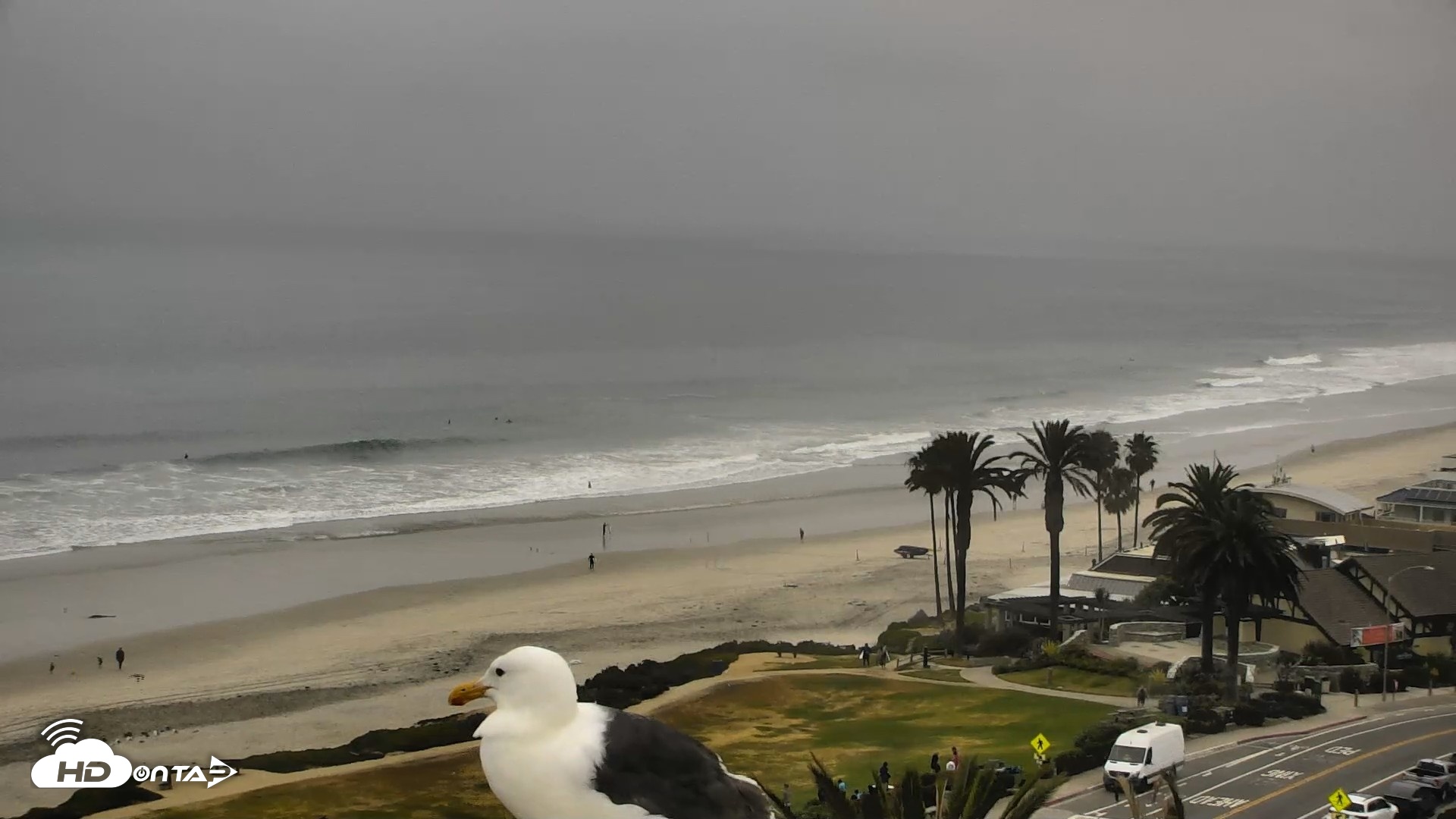 Snapshot of Del Mar Beach Overlook Roaming Live Webcam taken Jun 4, 2026, 9:01am PDT