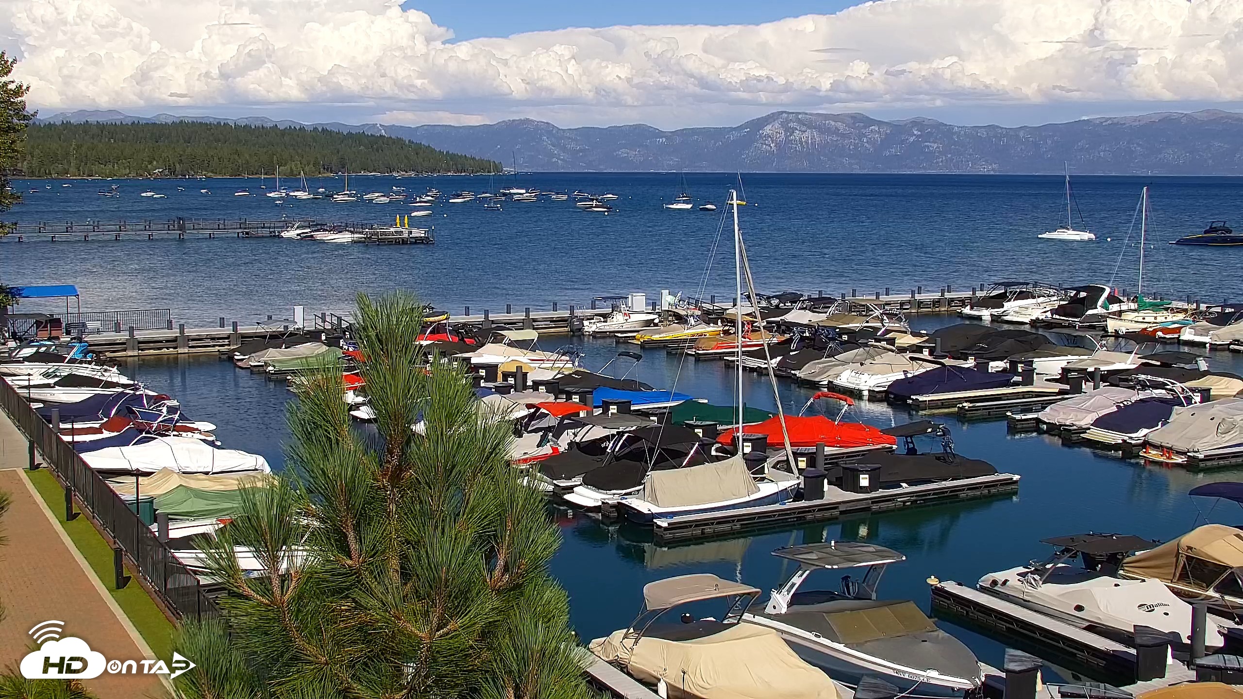 Snapshot of Tahoe City Marina - Lake Tahoe Live Webcam taken Aug 24, 2026, 3:55pm PDT