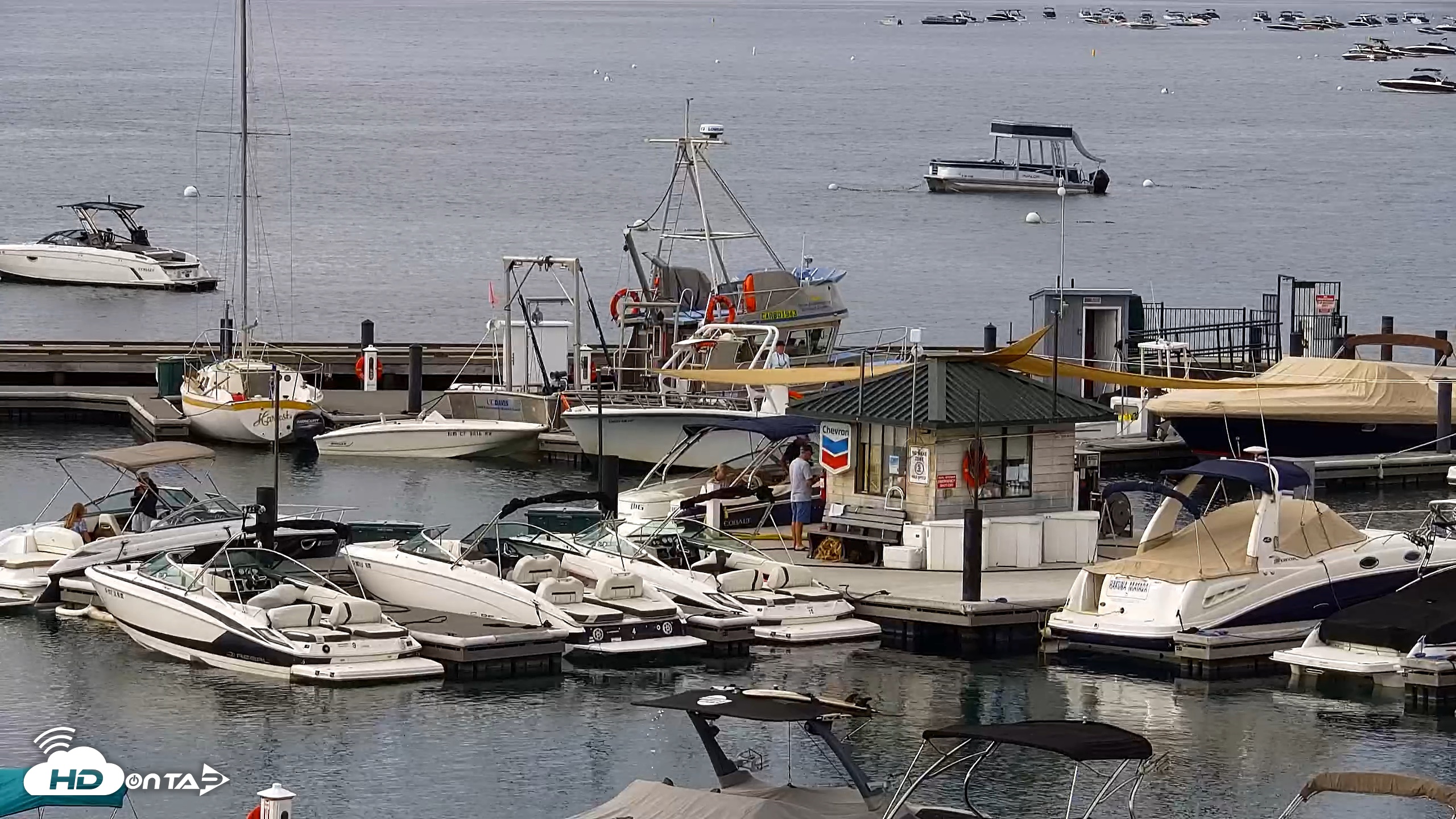 Snapshot of Tahoe City Marina - Lake Tahoe Live Webcam taken Jul 12, 2026, 8:39am PDT