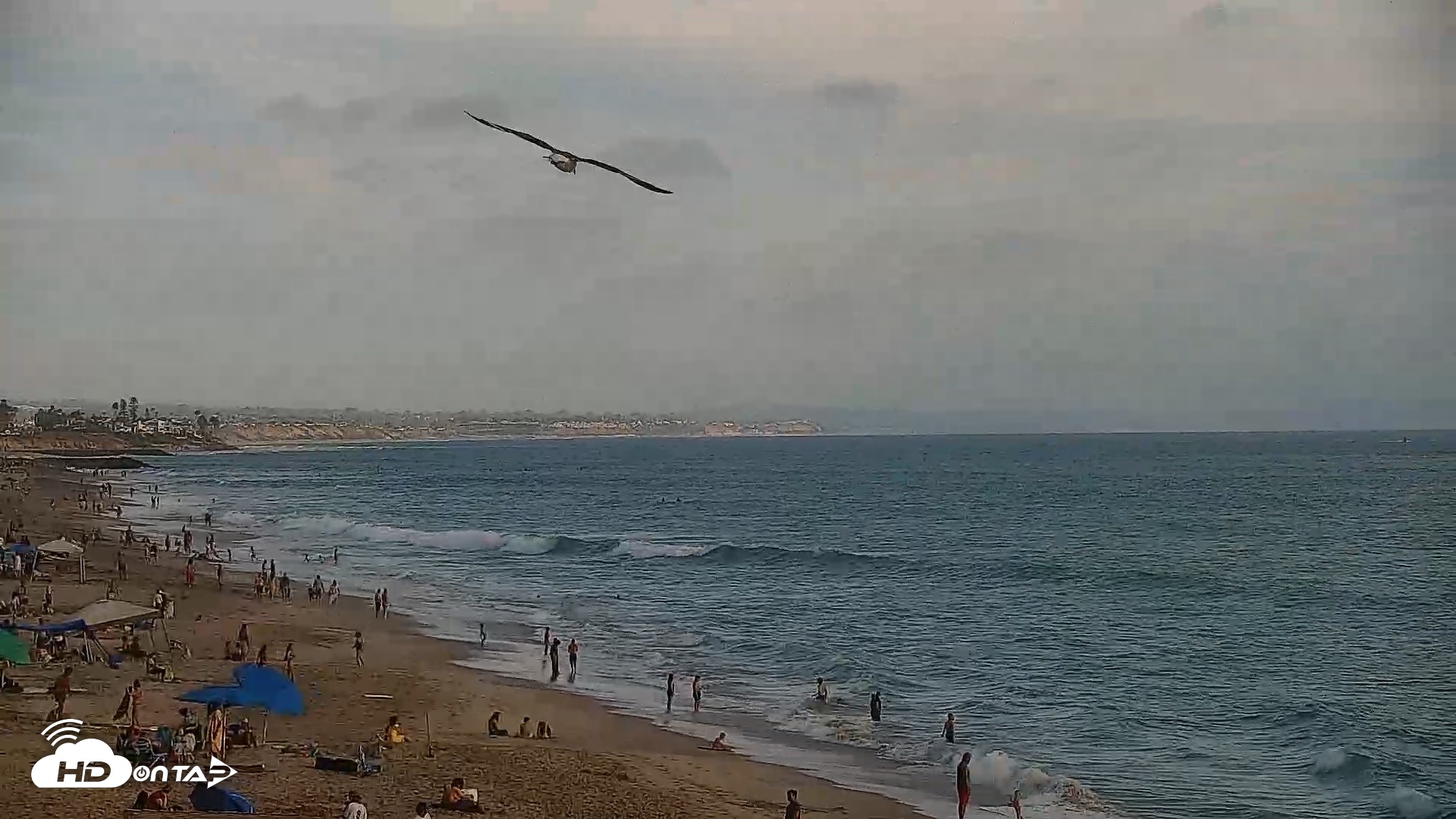 Snapshot of Carlsbad Beach Surf Live Webcam taken Jul 3, 2026, 6:15pm PDT