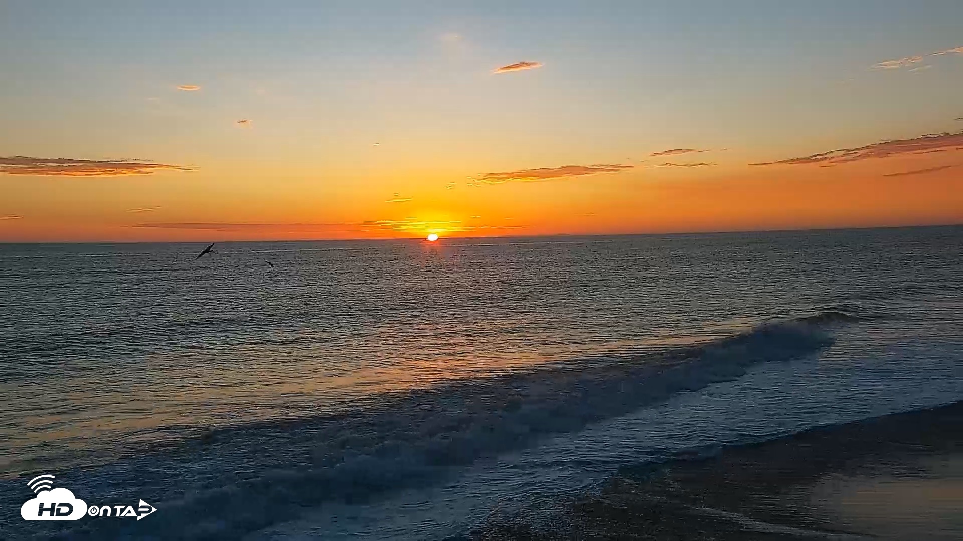 Snapshot of Carlsbad Beach Surf Live Webcam taken Sep 9, 2026, 7:04pm PDT