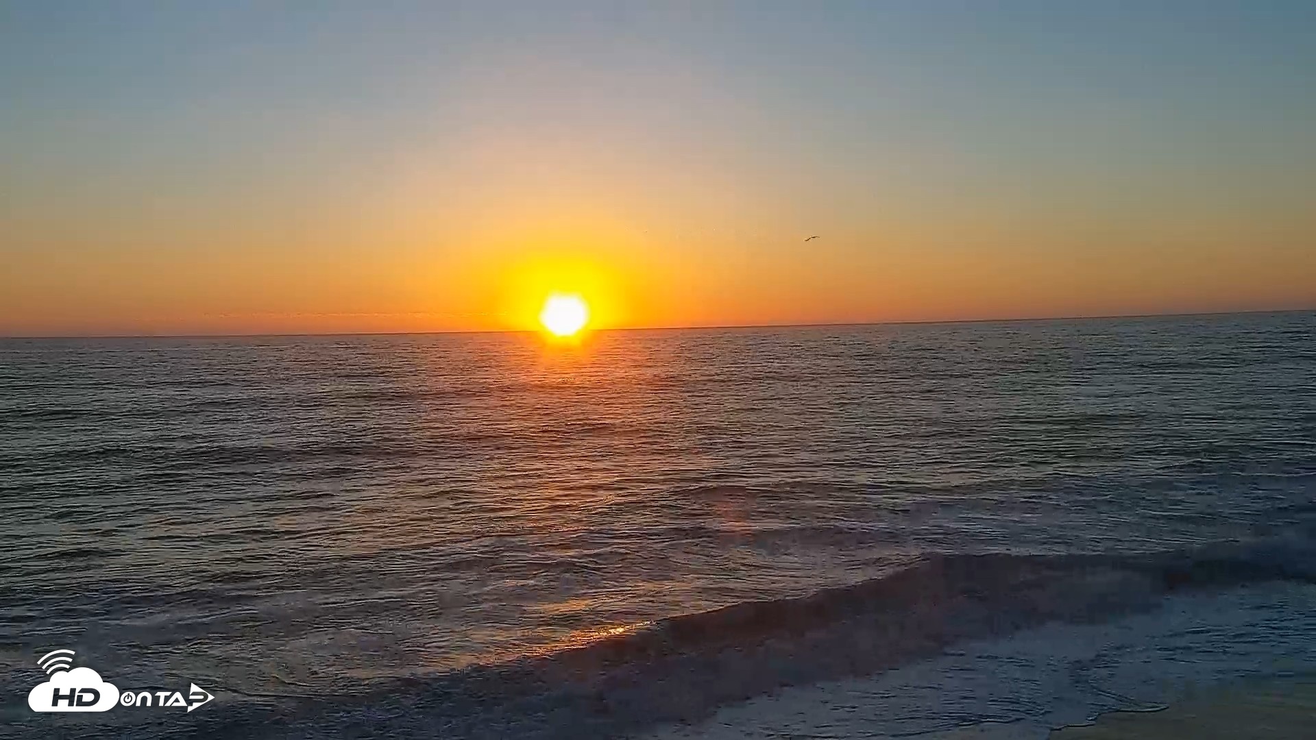 Snapshot of Carlsbad Beach Surf Live Webcam taken Oct 8, 2026, 6:22pm PDT