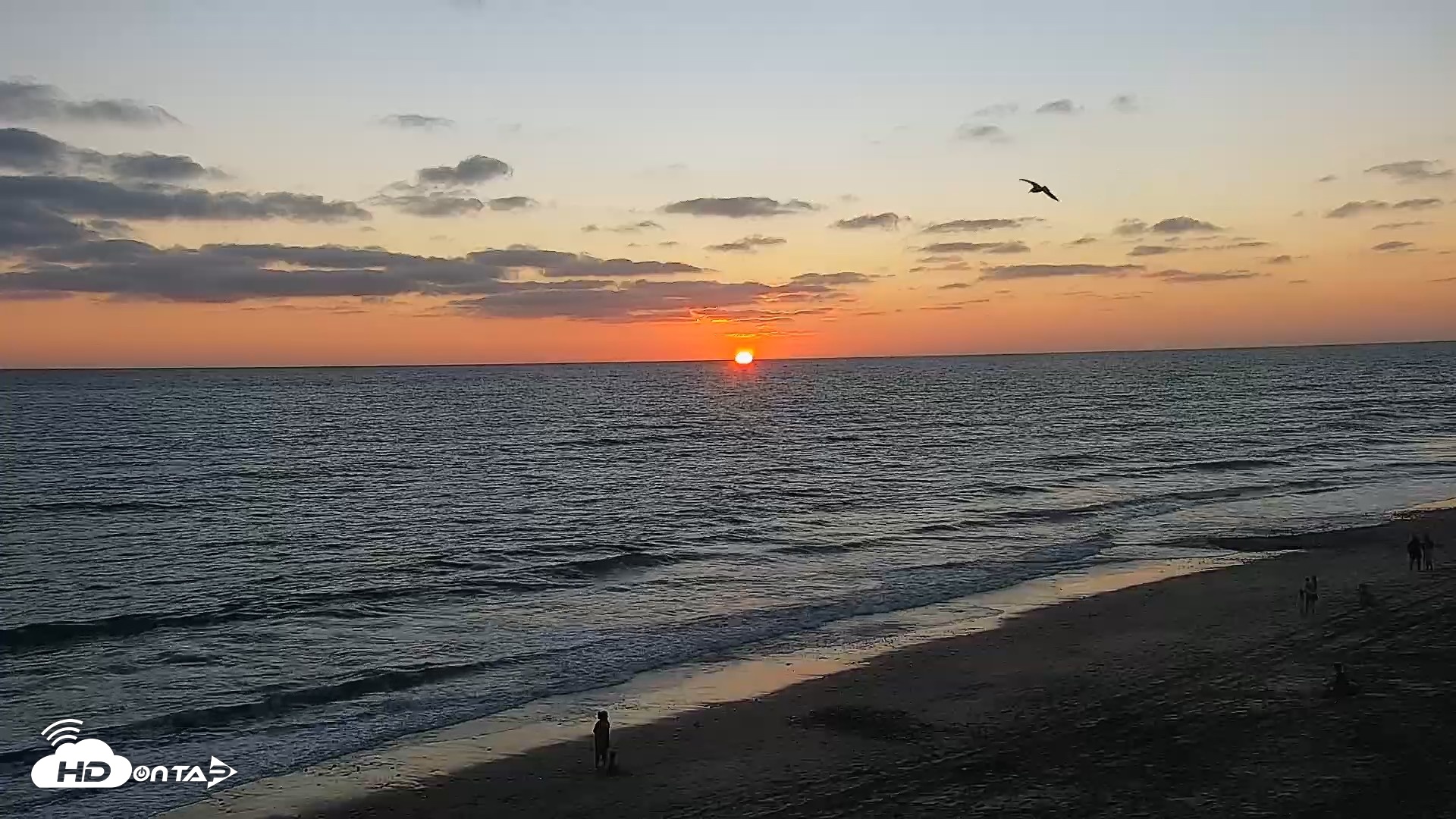 Snapshot of Carlsbad Beach Surf Live Webcam taken Sep 1, 2026, 7:16pm PDT