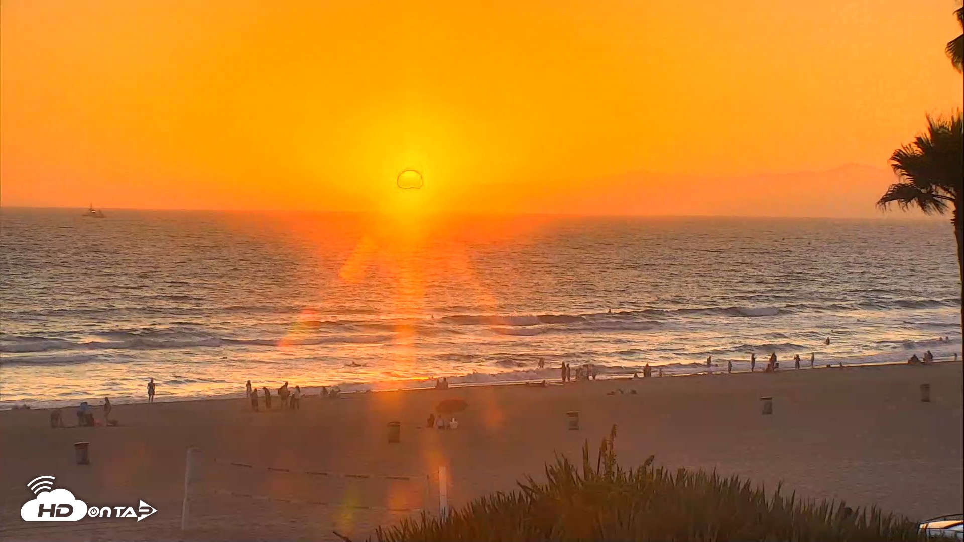 Snapshot of El Porto Beach Roving Live Cam taken Aug 1, 2026, 7:49pm PDT